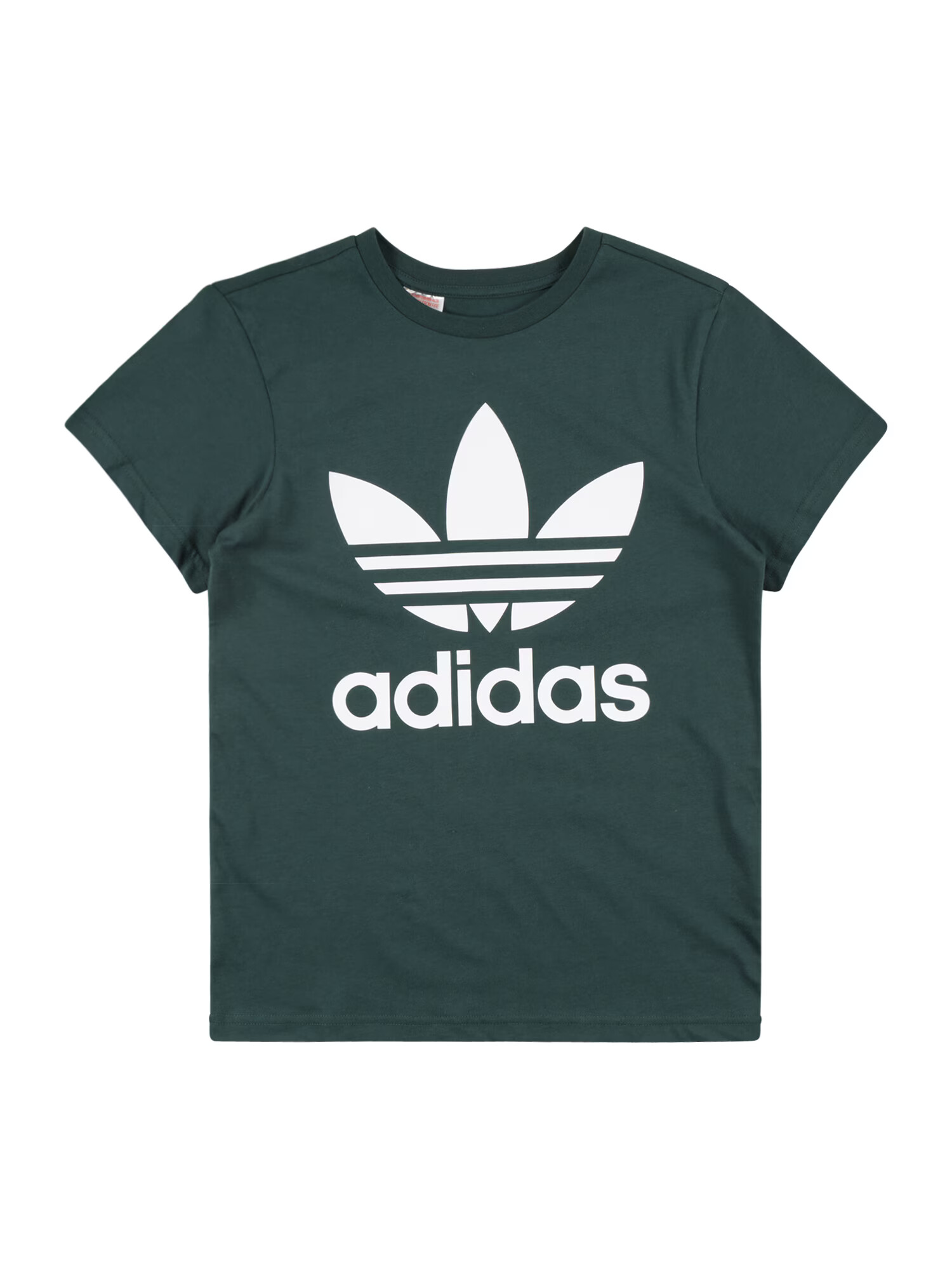 ADIDAS ORIGINALS Majica smaragd / bela - Pepit.si