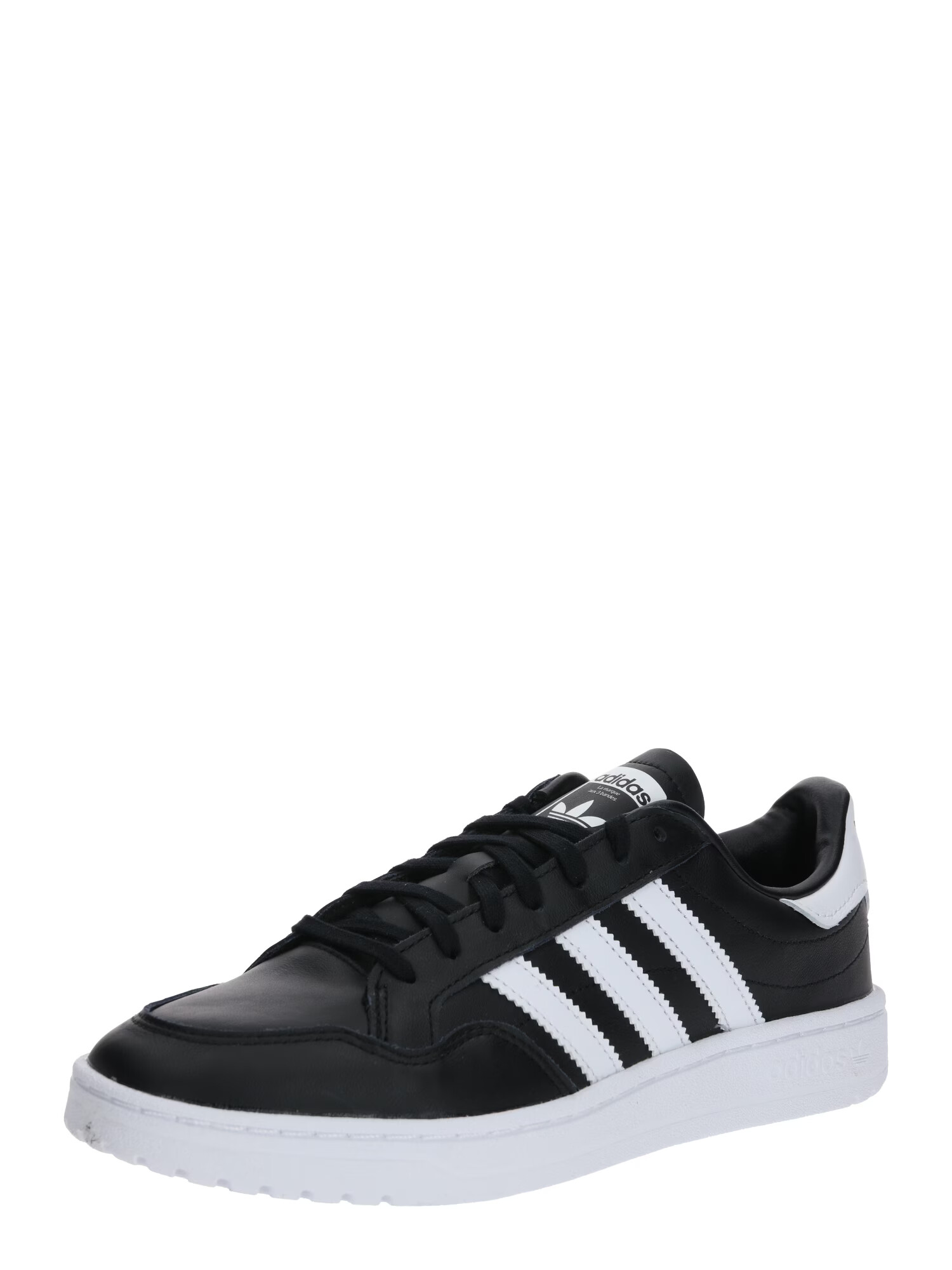 ADIDAS ORIGINALS Nizke superge 'Team Court' črna / bela - Pepit.si