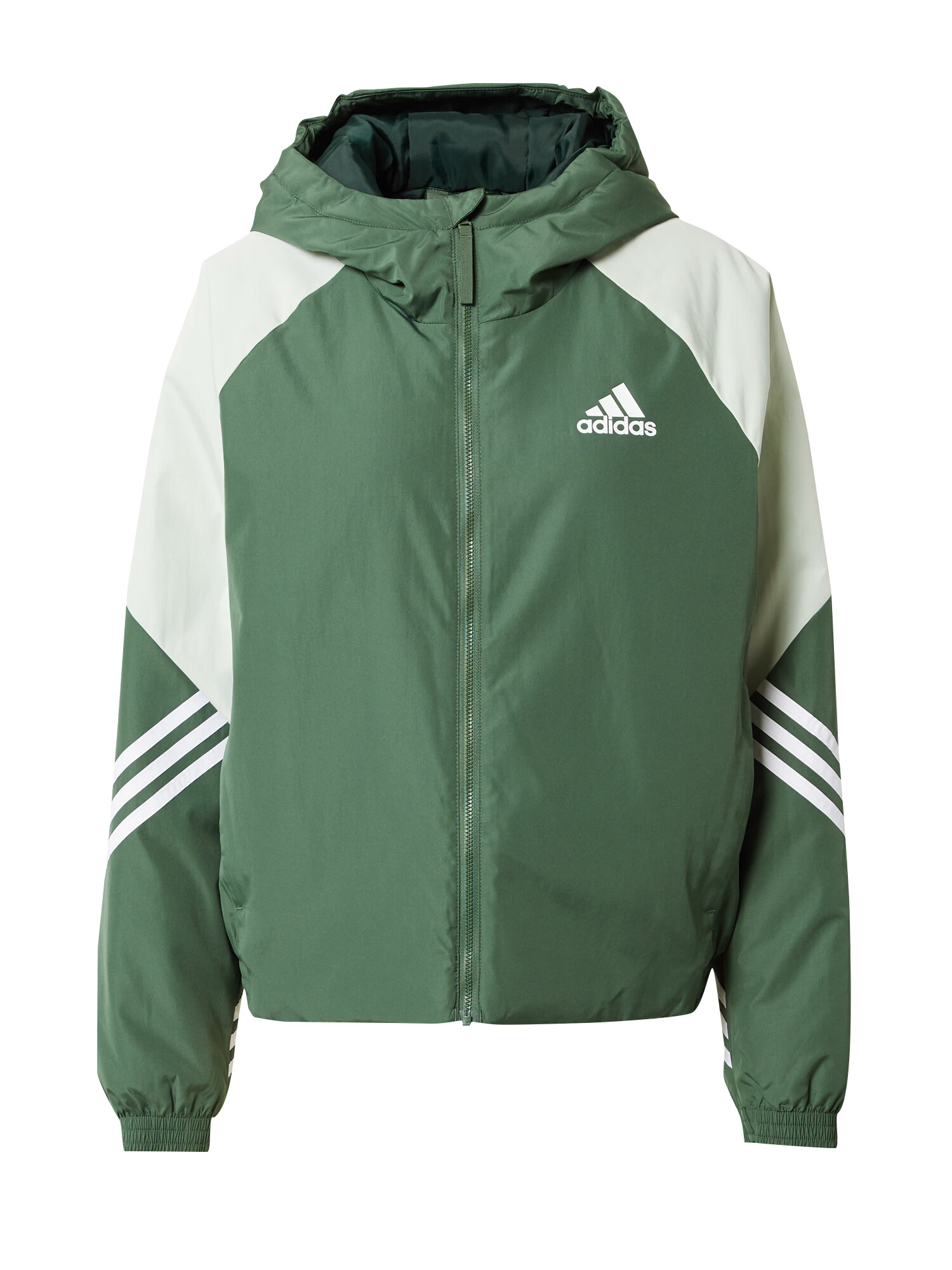 ADIDAS SPORTSWEAR Športna jakna pastelno zelena / temno zelena / bela - Pepit.si