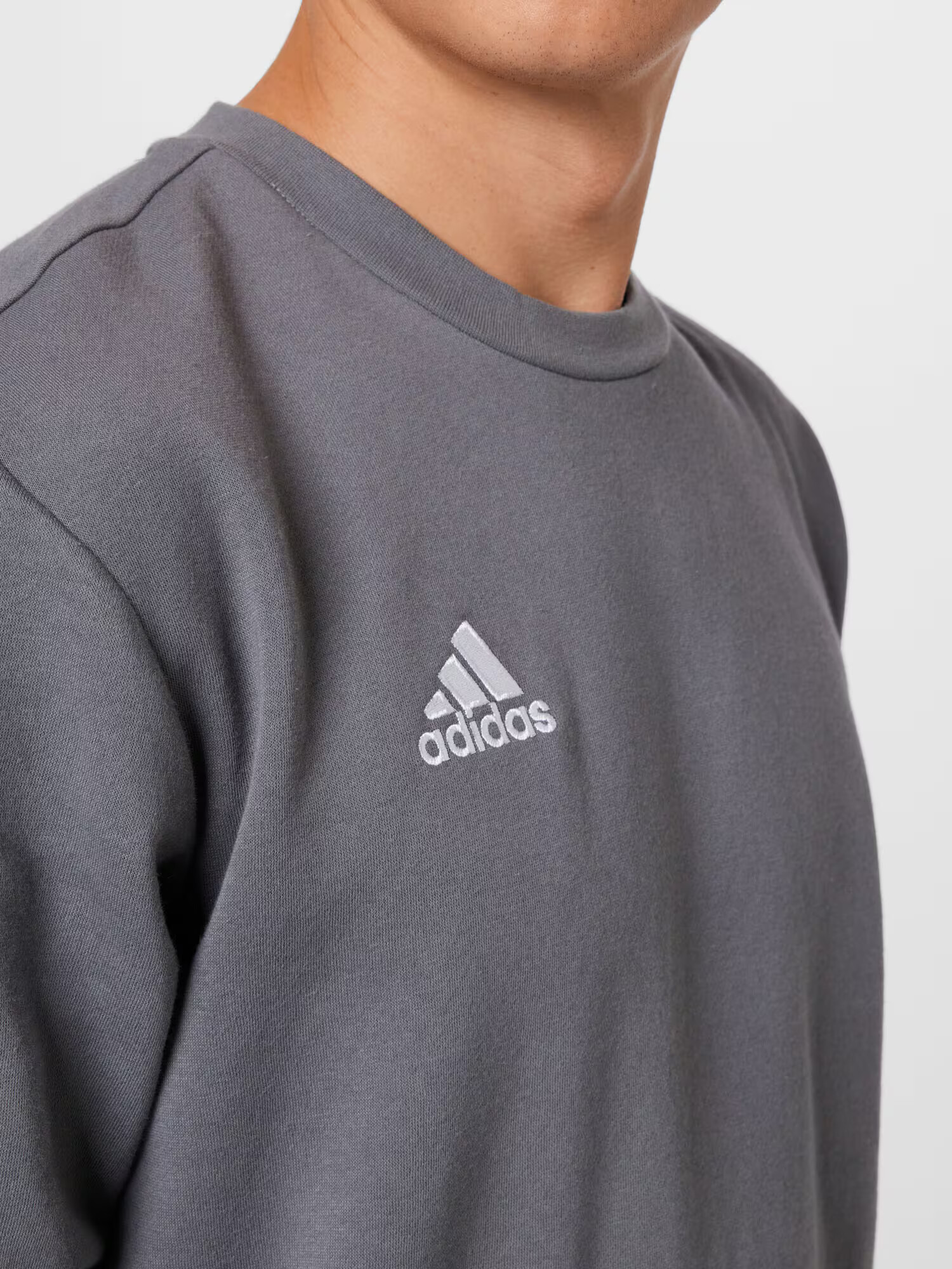 ADIDAS SPORTSWEAR Športna majica 'Entrada 22' pegasto siva / bela - Pepit.si