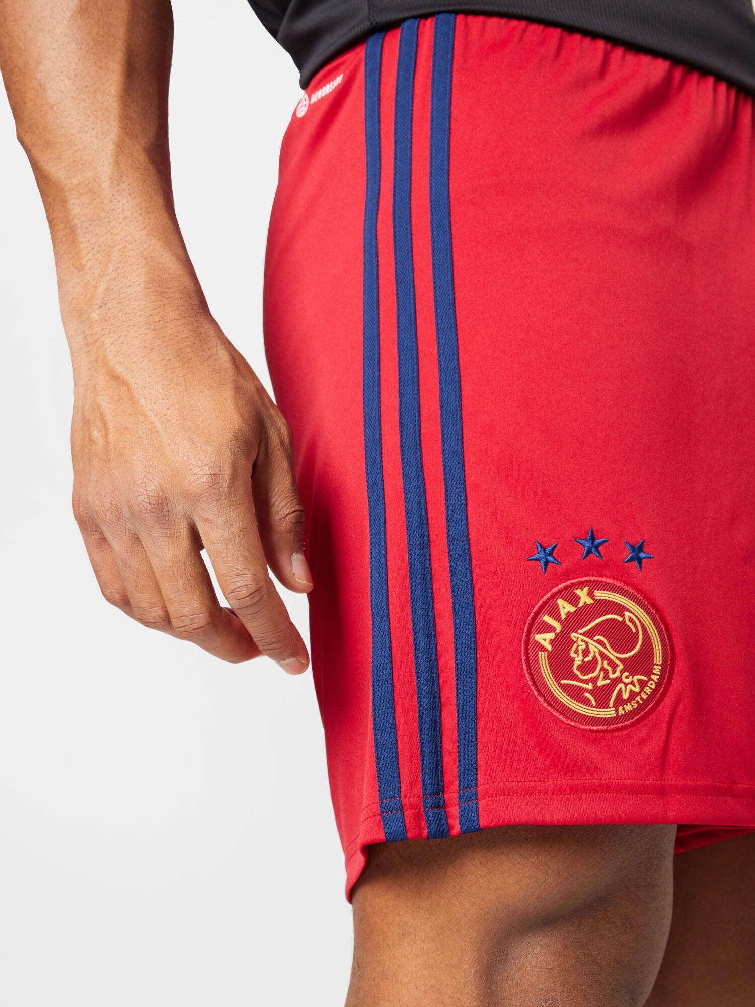 ADIDAS SPORTSWEAR Športne hlače 'AJAX' mešane barve / rdeča - Pepit.si