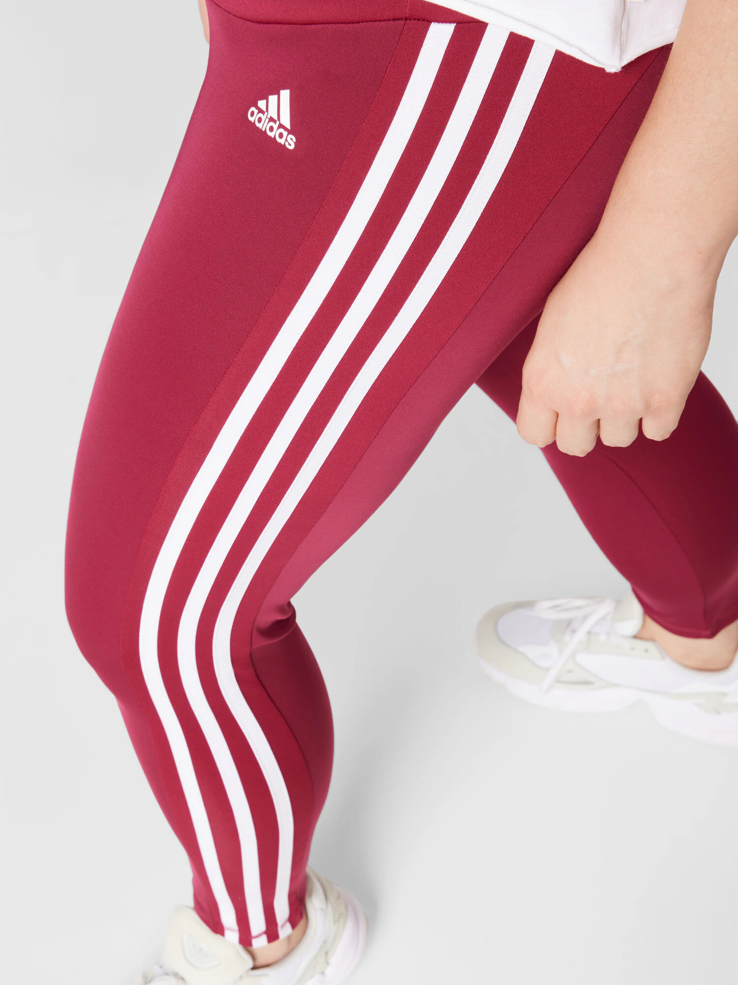 ADIDAS SPORTSWEAR Športne hlače brusnica / bela - Pepit.si