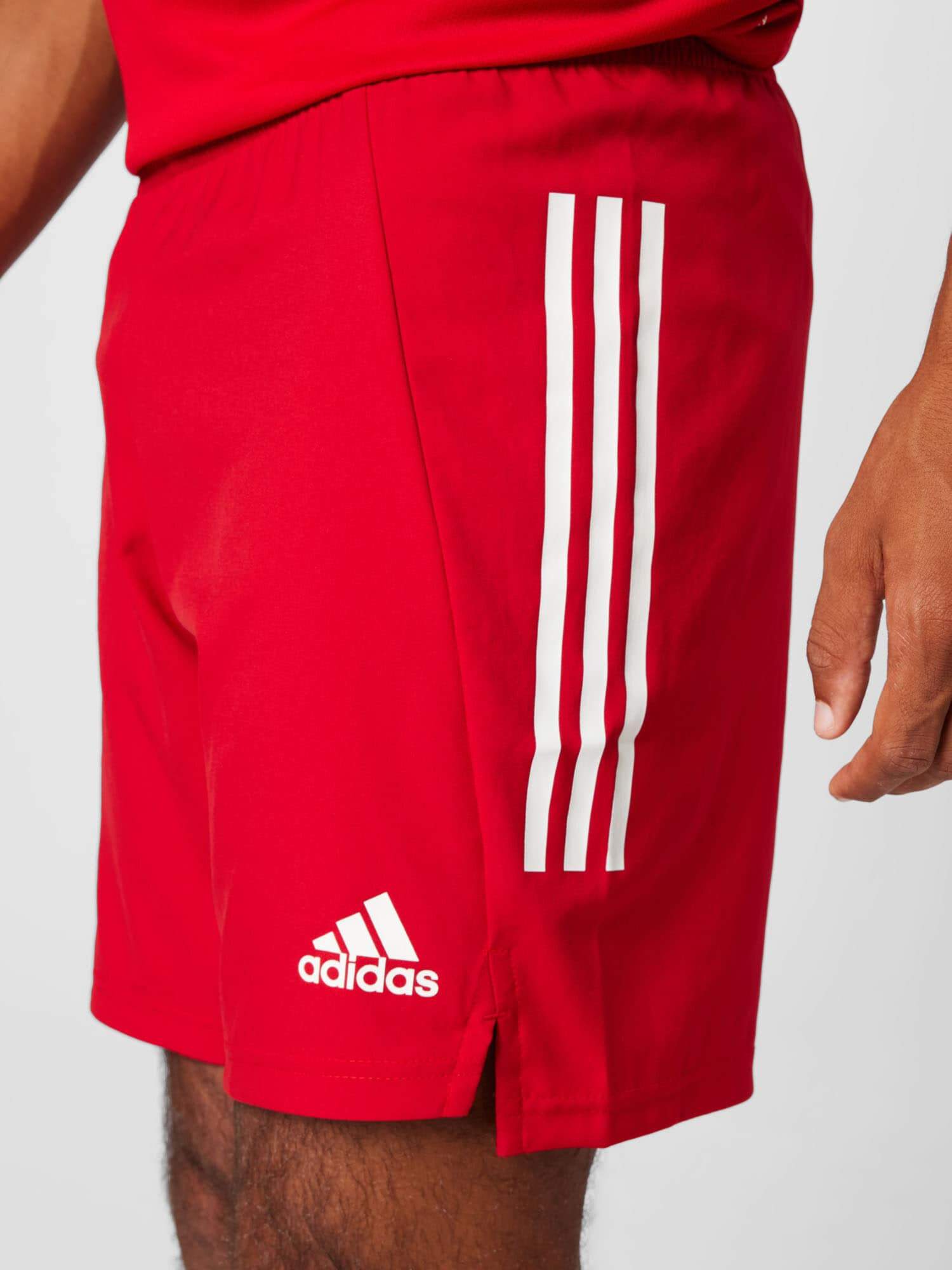 ADIDAS SPORTSWEAR Športne hlače 'Condivo 21' rdeča / bela - Pepit.si