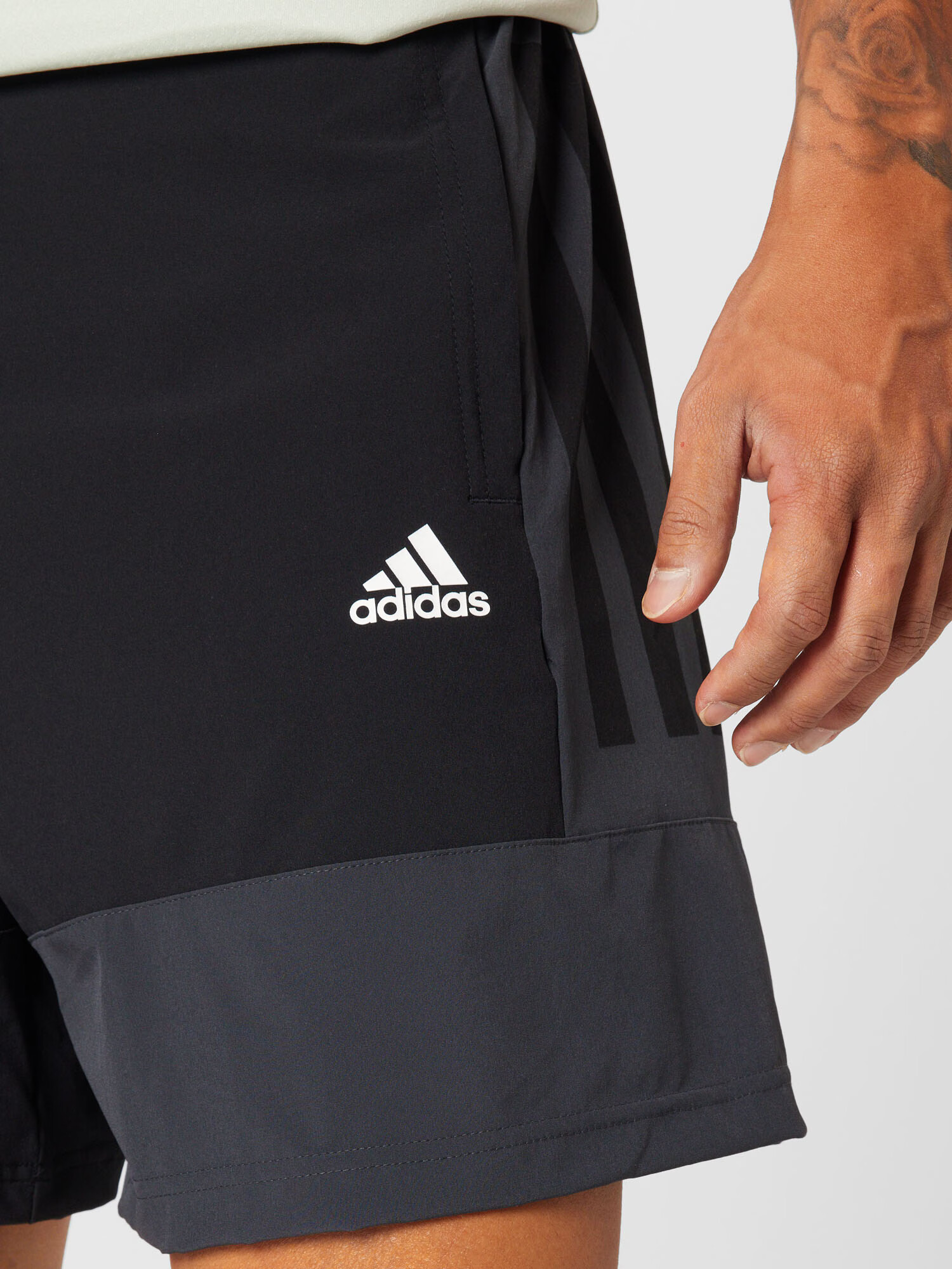 ADIDAS SPORTSWEAR Športne hlače grafit / črna / bela - Pepit.si