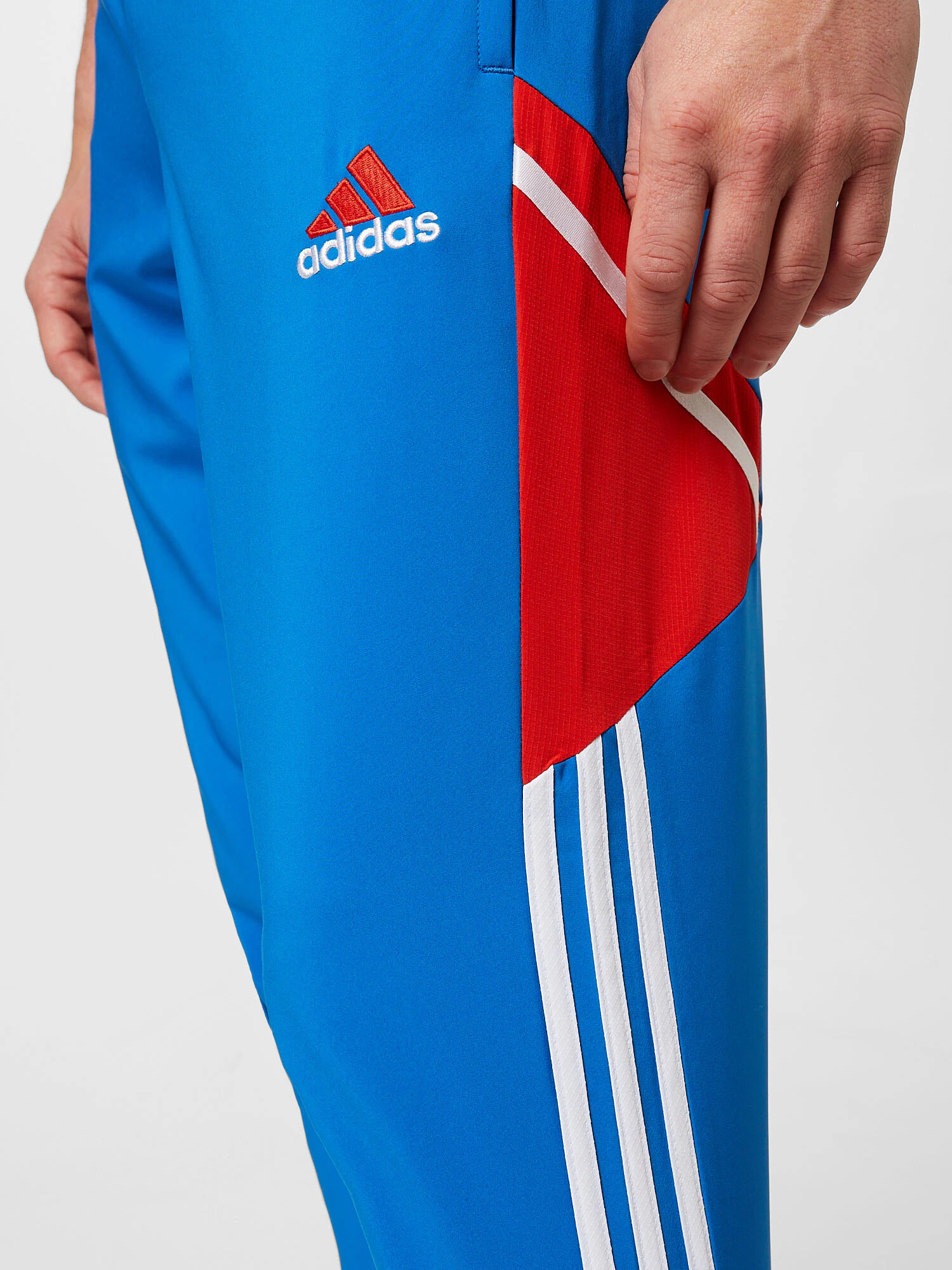 ADIDAS SPORTSWEAR Športne hlače kraljevo modra / zlata / rdeča / bela - Pepit.si