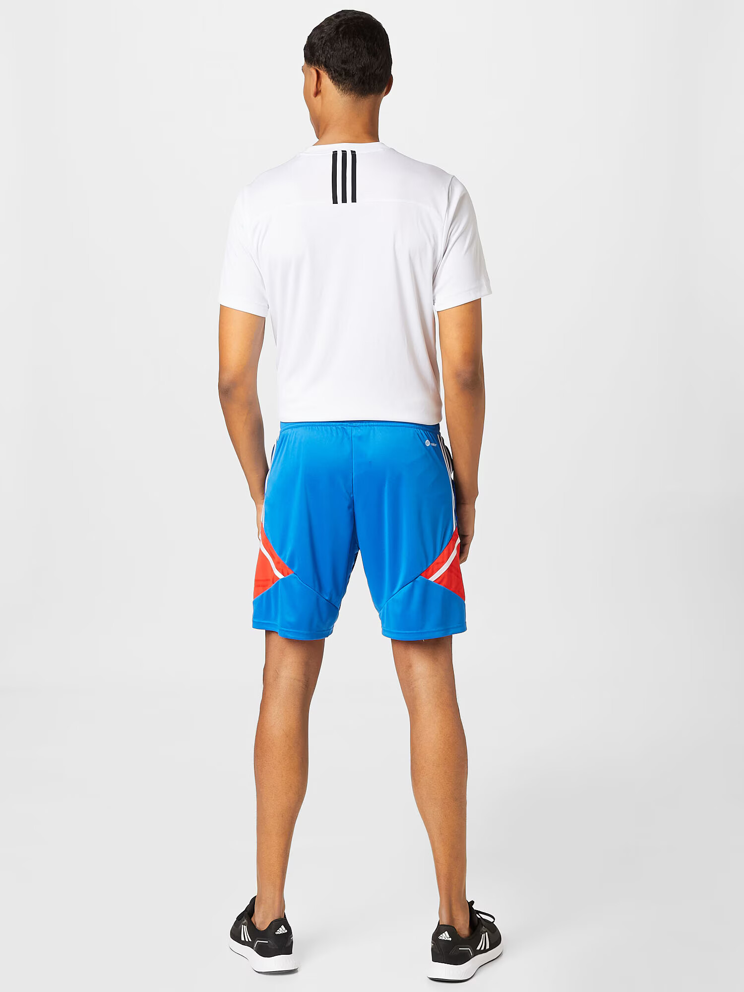 ADIDAS SPORTSWEAR Športne hlače kraljevo modra / rdeča / off-bela - Pepit.si