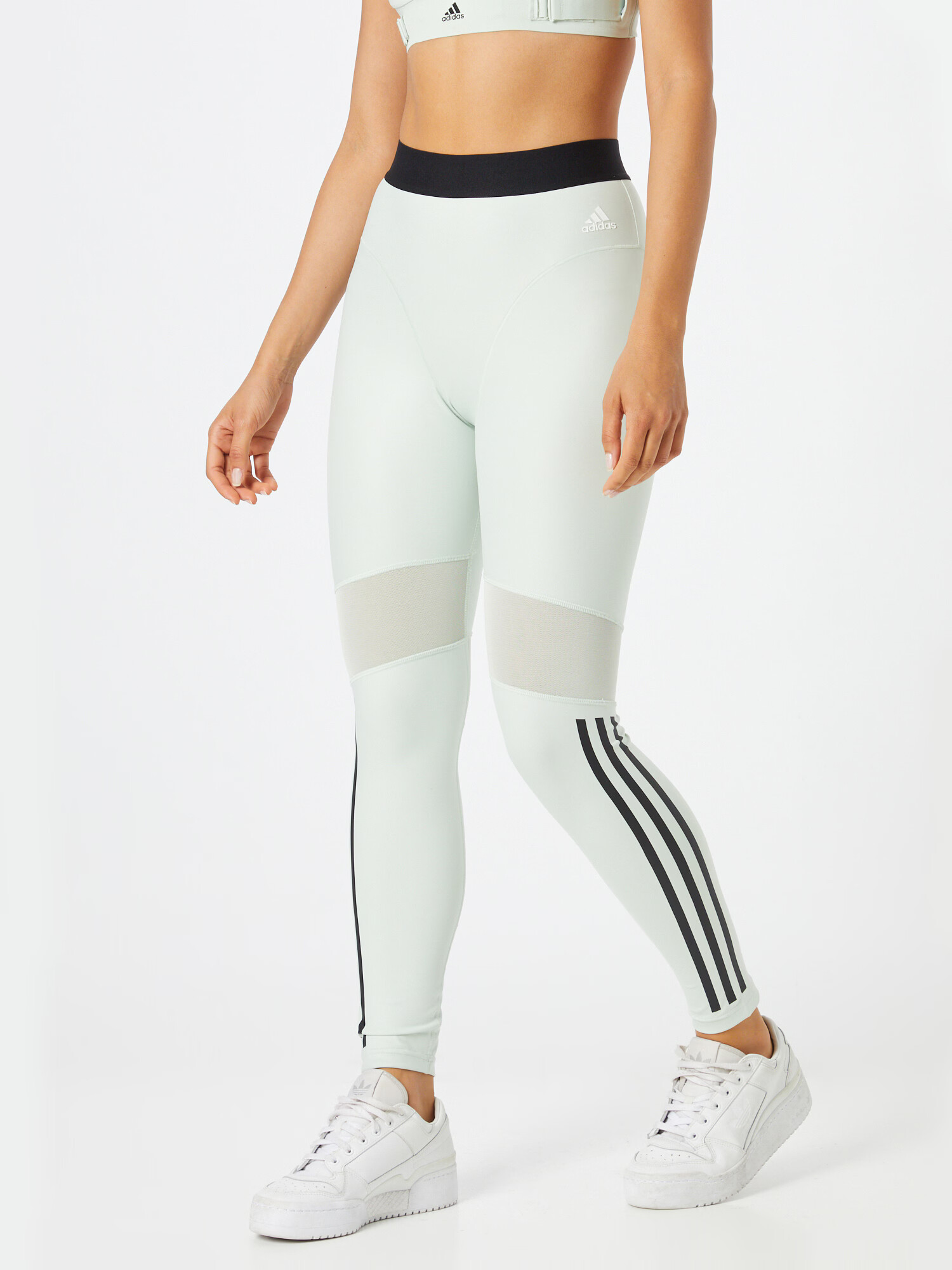 ADIDAS SPORTSWEAR Športne hlače pastelno zelena / črna / bela - Pepit.si