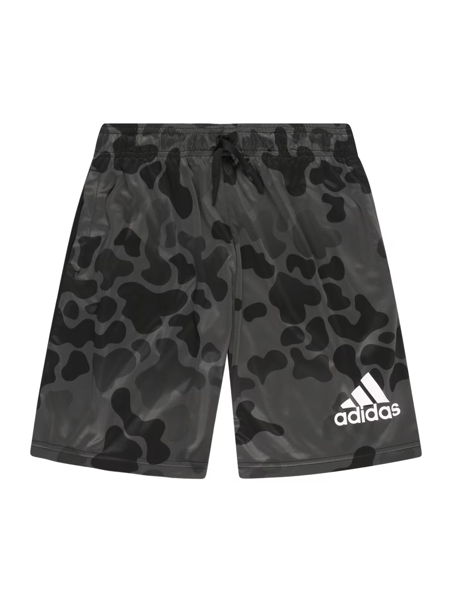 ADIDAS SPORTSWEAR Športne hlače temno siva / črna / bela - Pepit.si