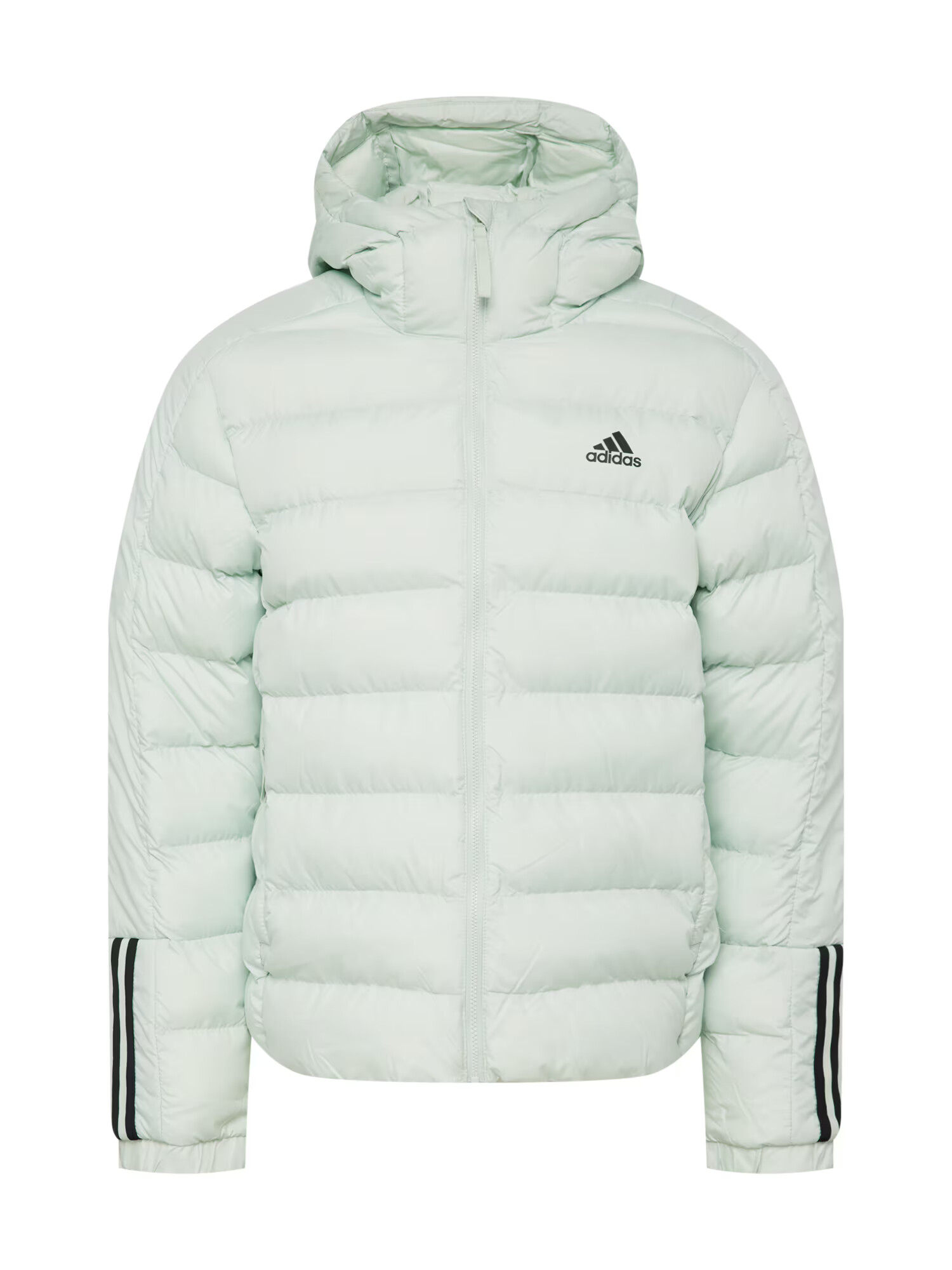 ADIDAS SPORTSWEAR Zunanja jakna 'Itavic' pastelno zelena / črna - Pepit.si