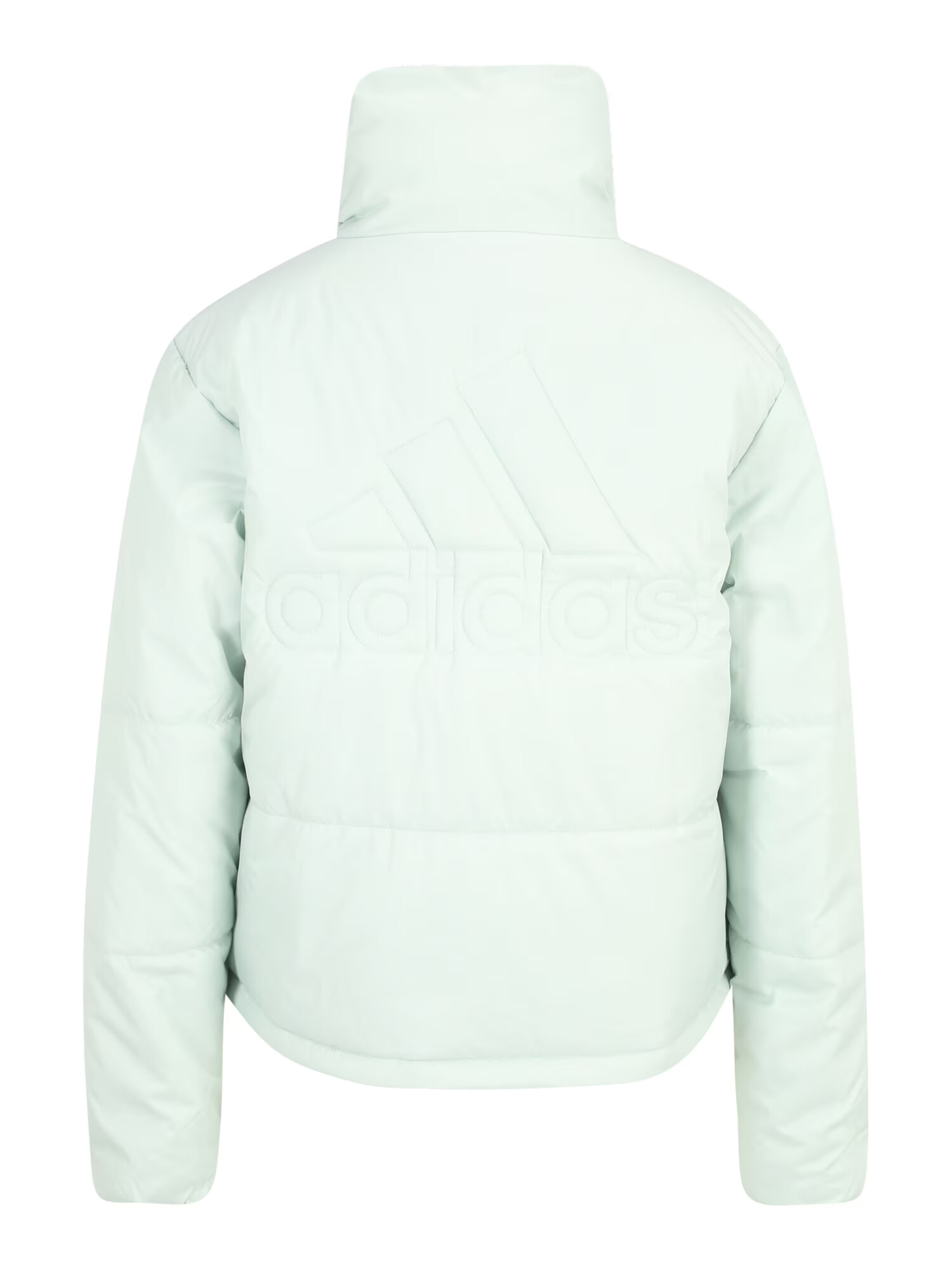 ADIDAS SPORTSWEAR Zunanja jakna pastelno zelena - Pepit.si