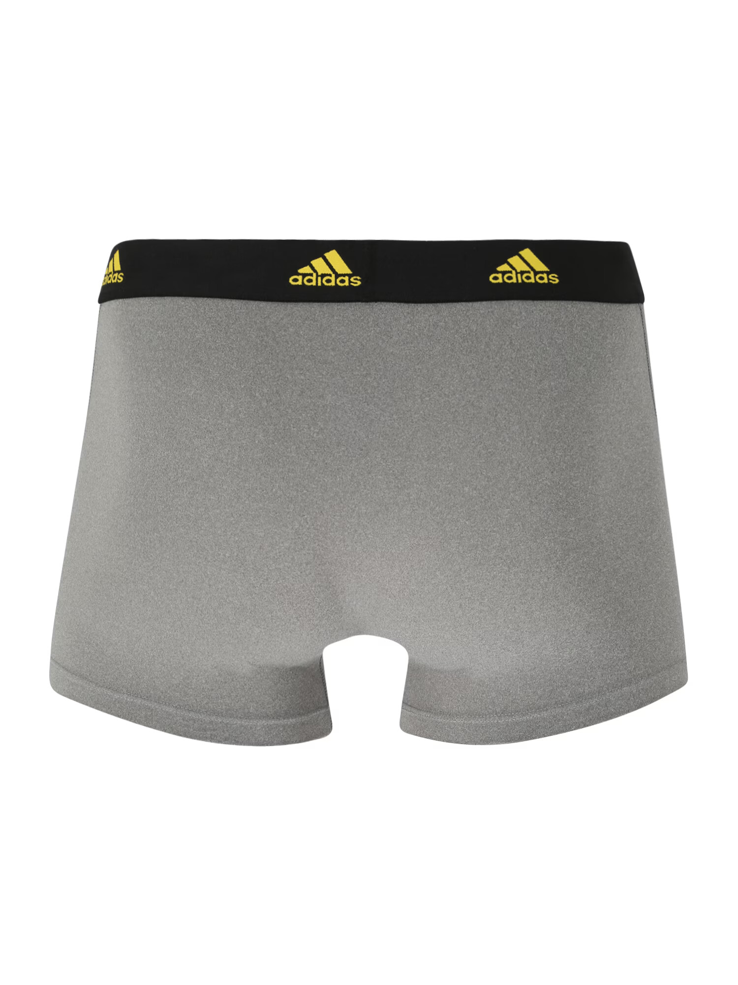 ADIDAS SPORTSWEAR Boksarice temno rumena / antracit / pegasto siva / črna - Pepit.si