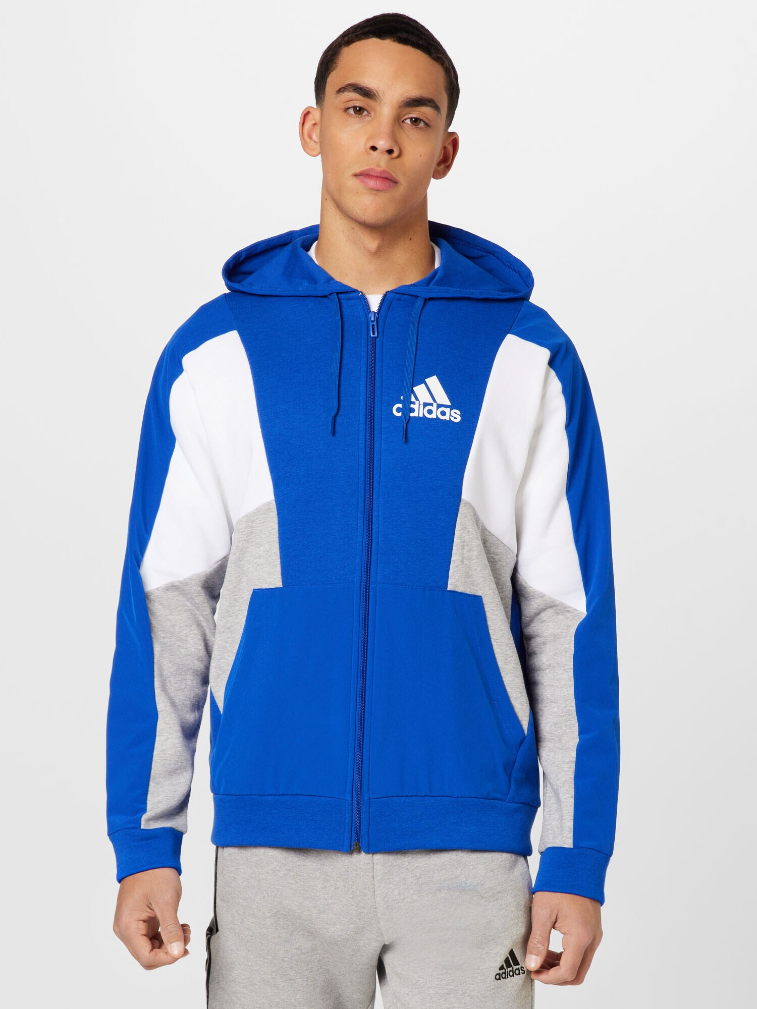 ADIDAS SPORTSWEAR Športna jopa na zadrgo modra / pegasto siva / bela - Pepit.si