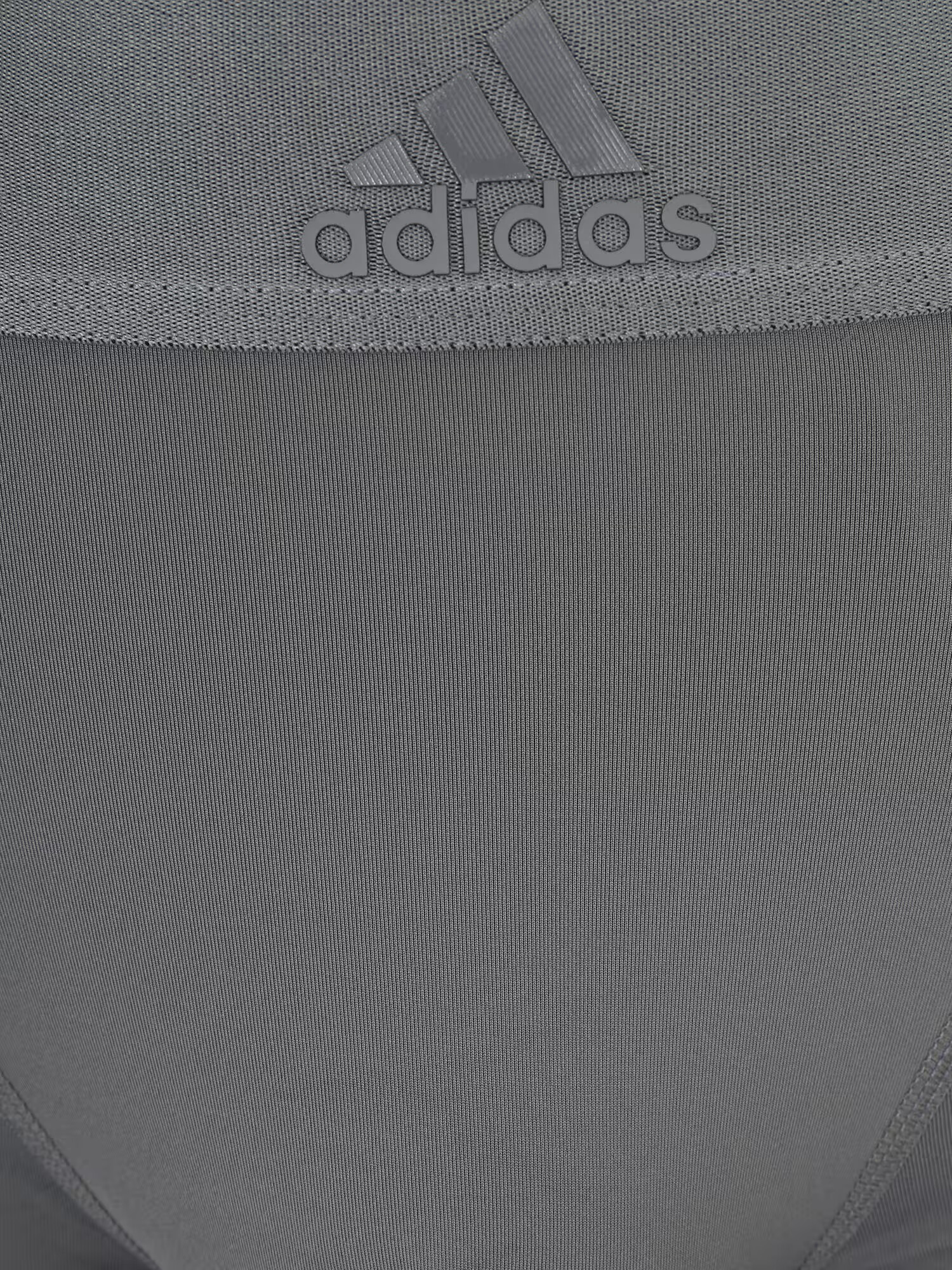 ADIDAS SPORTSWEAR Športne spodnjice antracit - Pepit.si