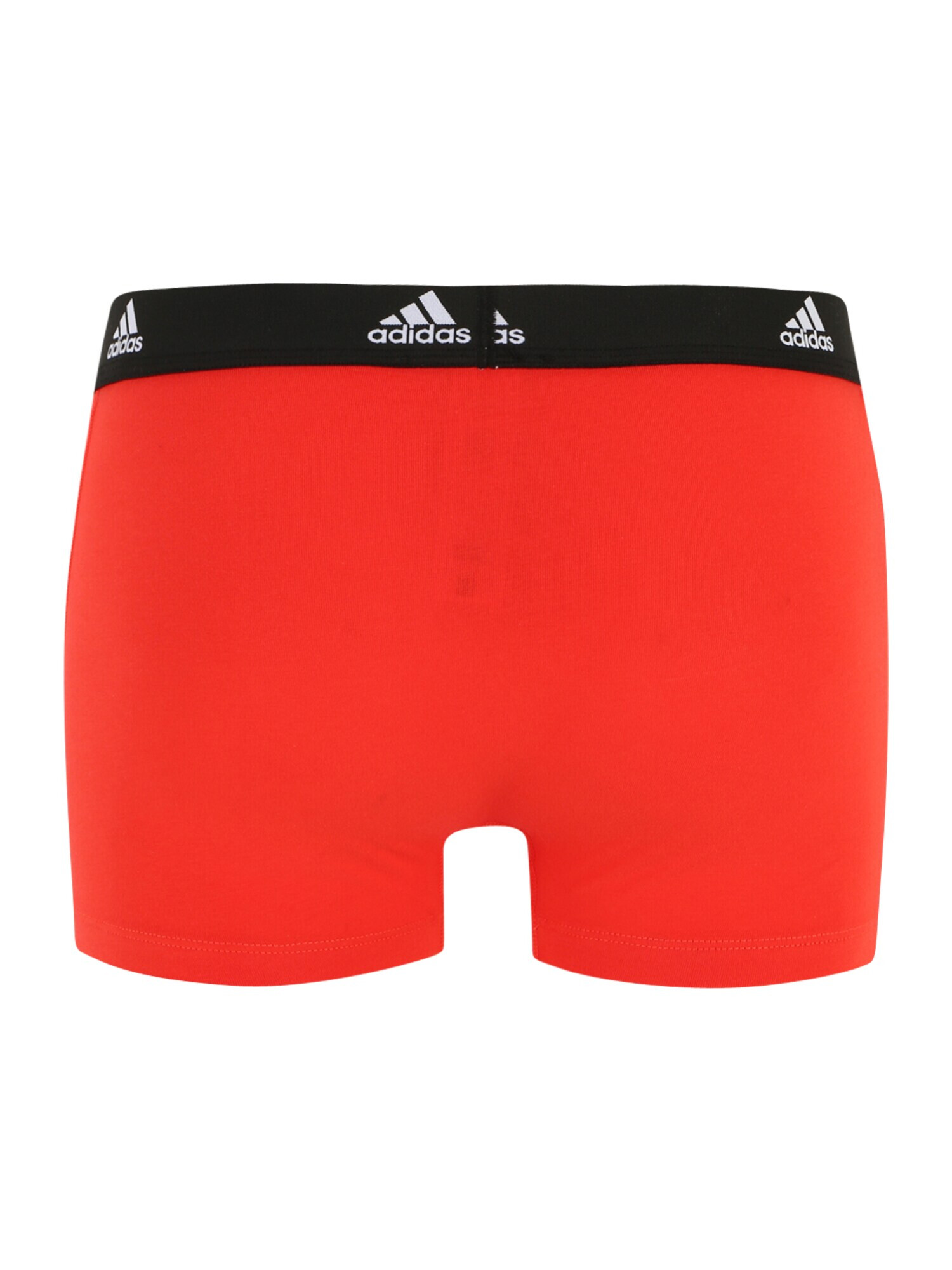 ADIDAS SPORTSWEAR Športne spodnjice svetlo modra / oliva / rdeča / črna - Pepit.si