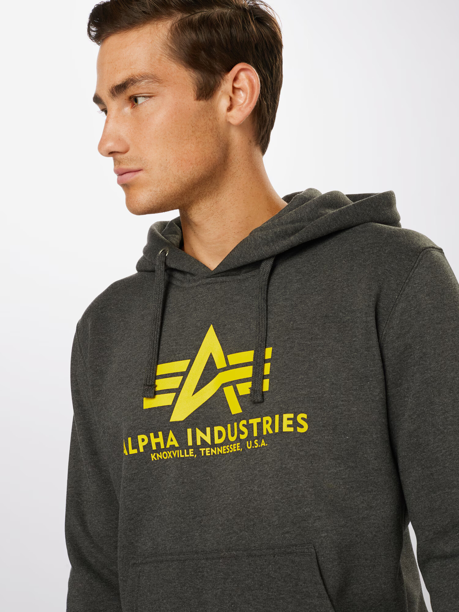 ALPHA INDUSTRIES Majica 'Basic Hoody' rumena / grafit - Pepit.si