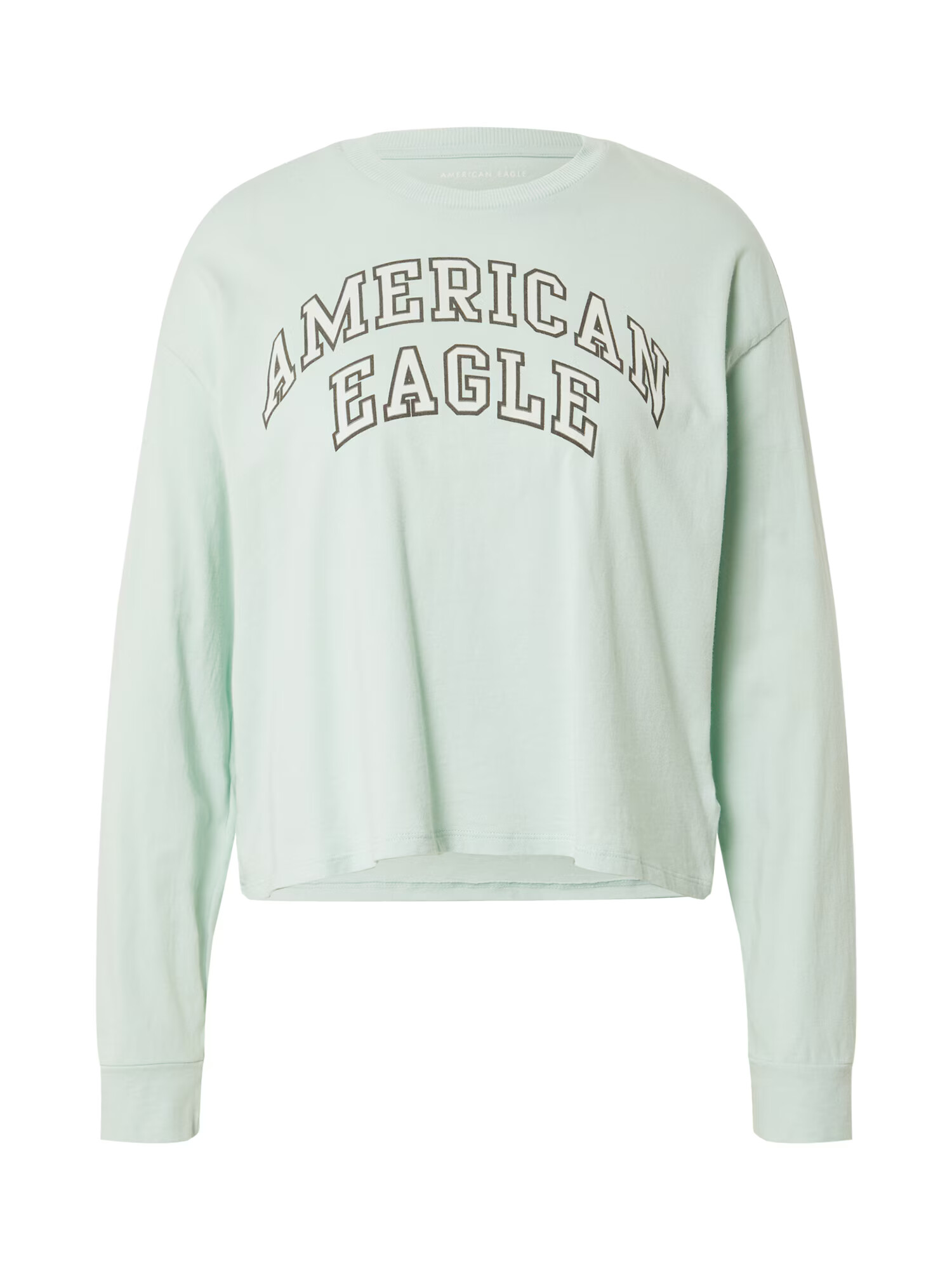 American Eagle Majica pastelno zelena / kostanj rjava - Pepit.si