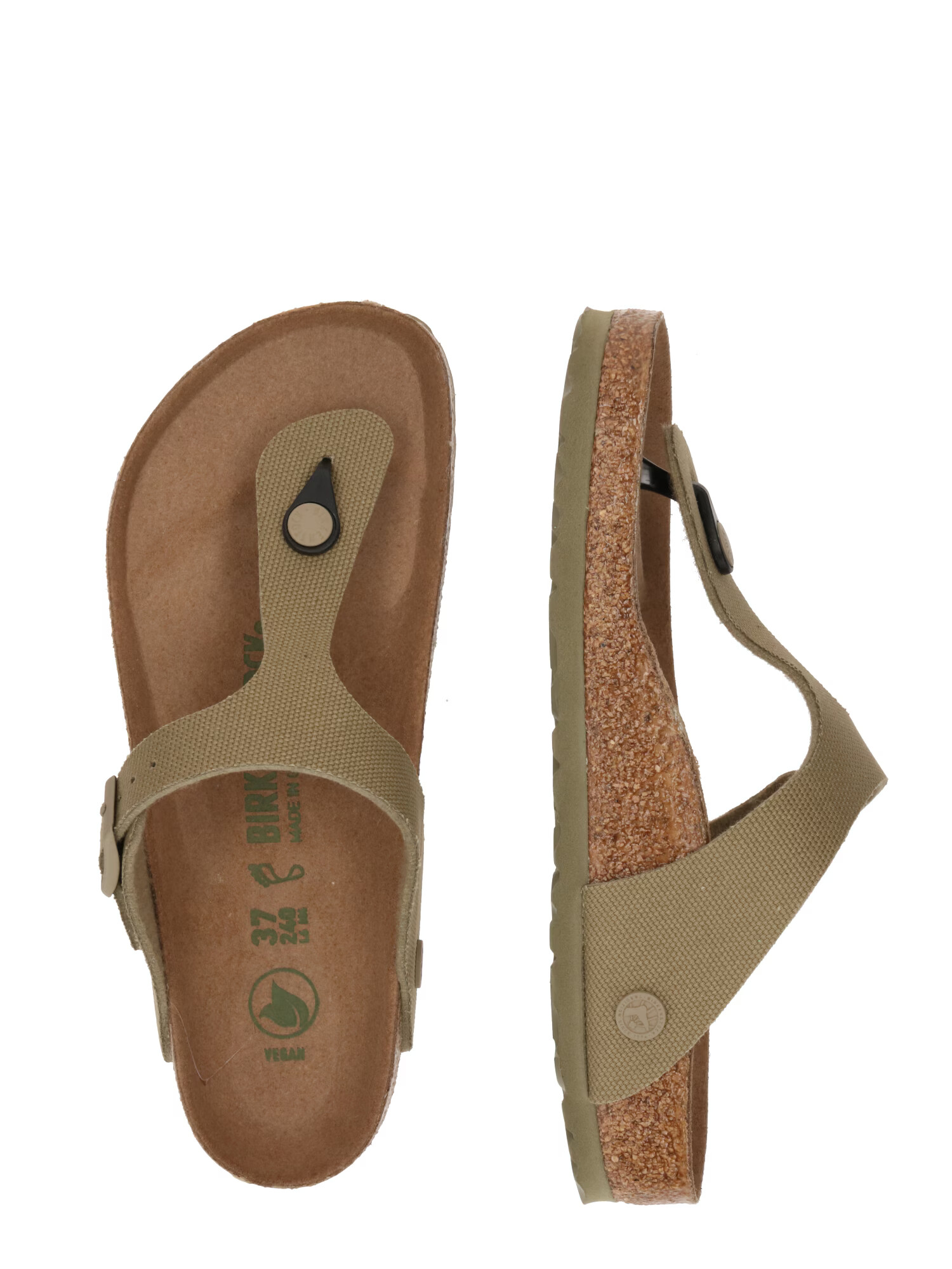 BIRKENSTOCK Japonke 'Gizeh' kaki - Pepit.si