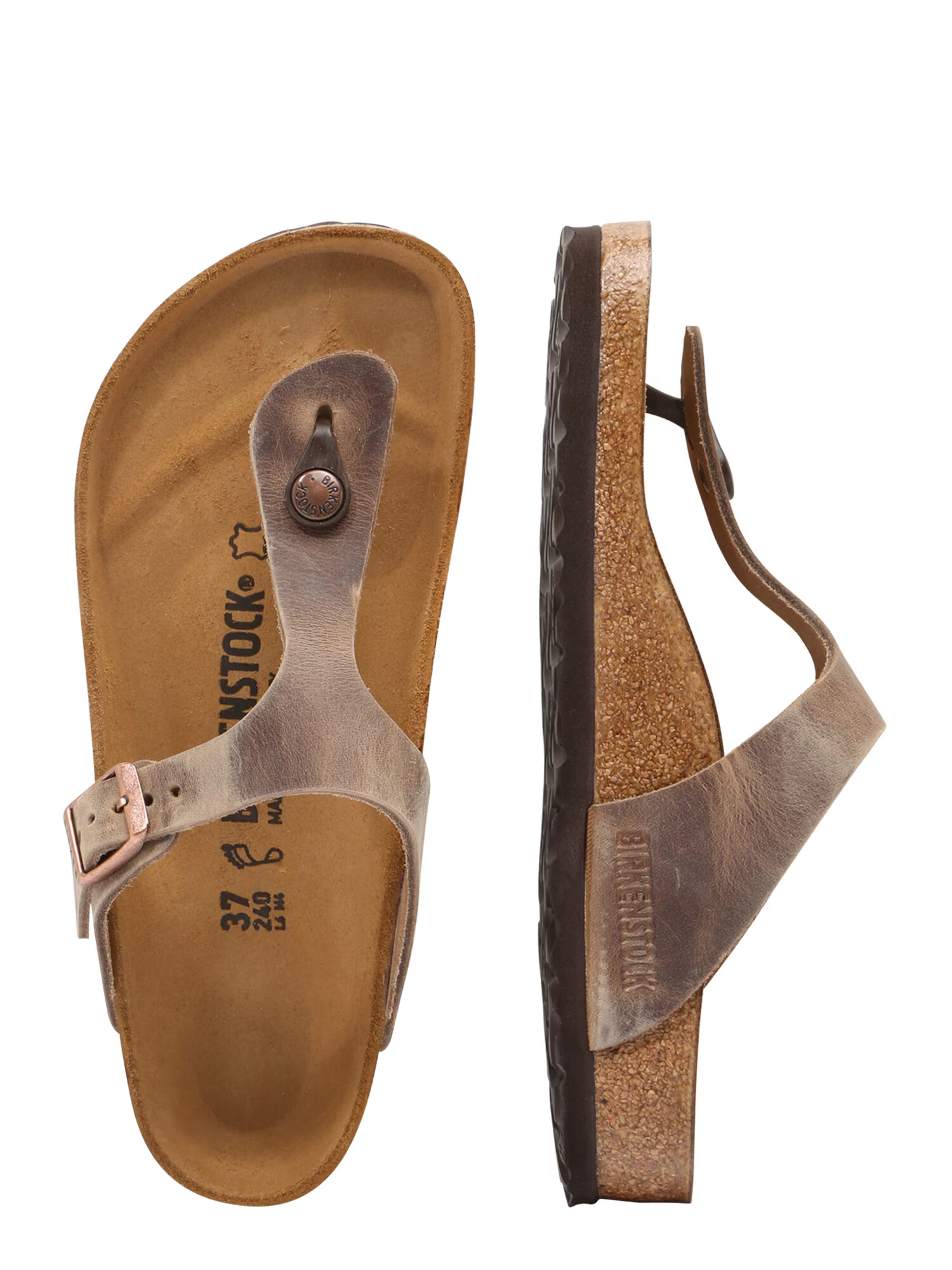 BIRKENSTOCK Japonke 'Gizeh' rjava - Pepit.si