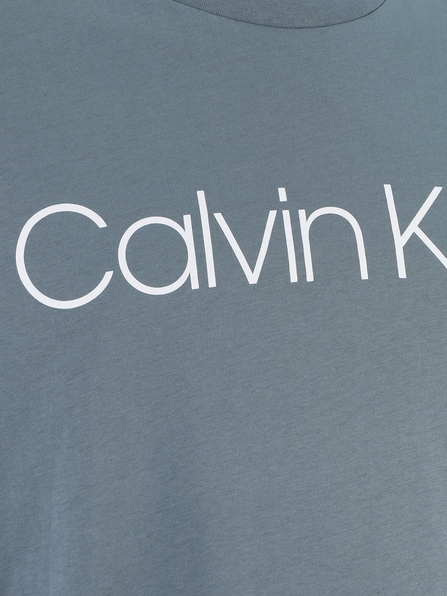 Calvin Klein Big & Tall Majica grafit / bela - Pepit.si