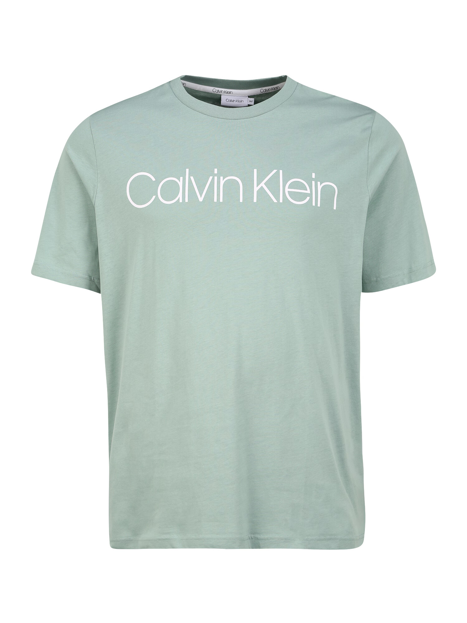 Calvin Klein Big & Tall Majica pastelno zelena / bela - Pepit.si