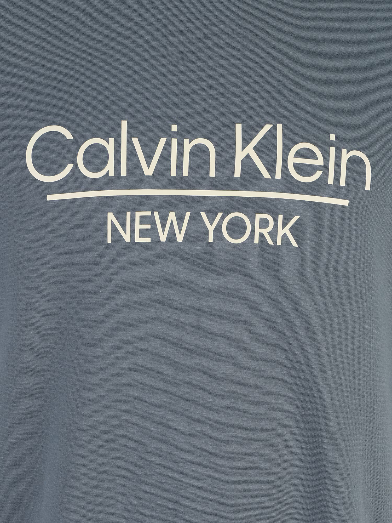 Calvin Klein Big & Tall Majica temno siva / bela - Pepit.si