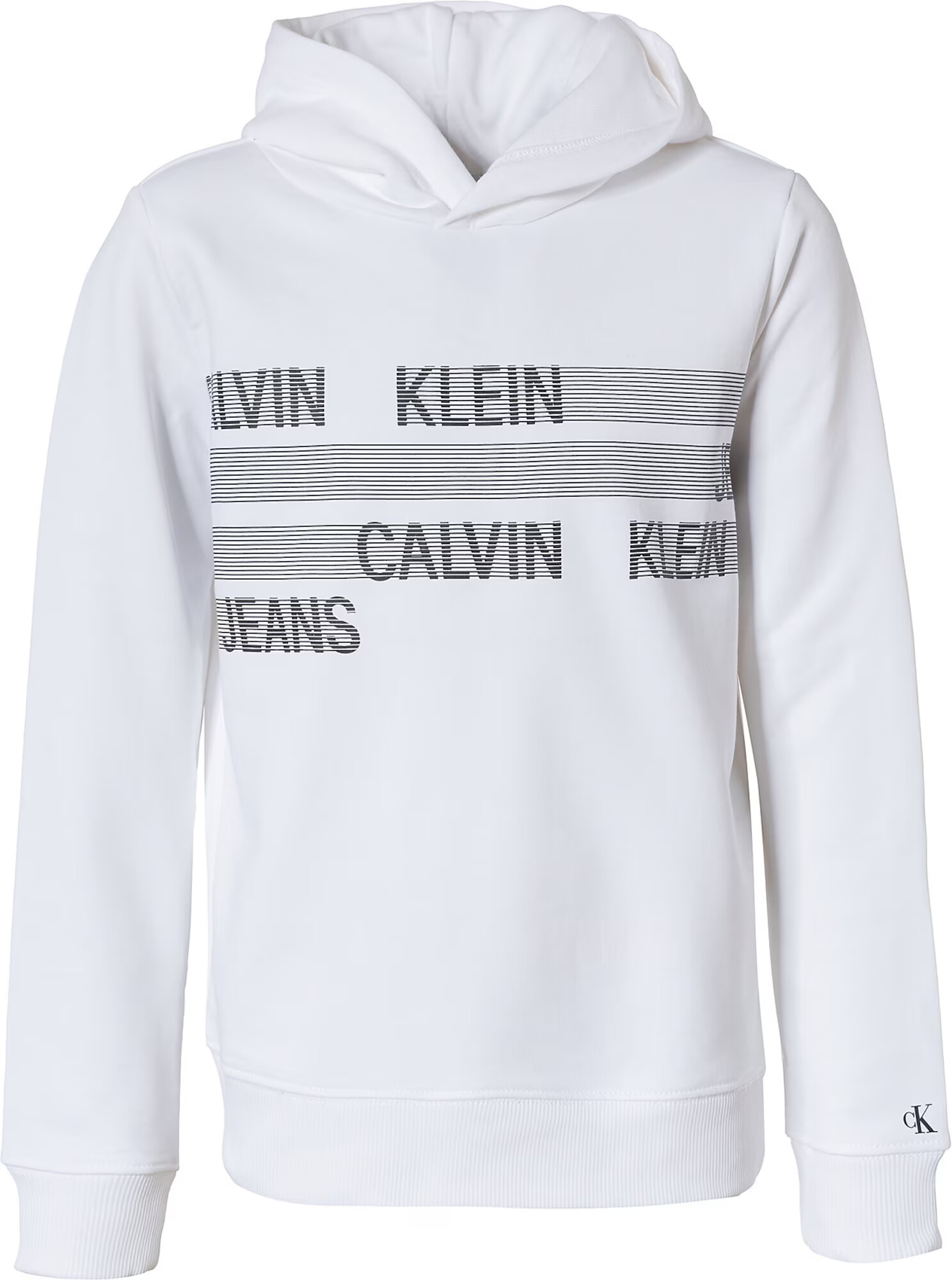 Calvin Klein Jeans Majica 'Dimension' bela / črna / siva - Pepit.si