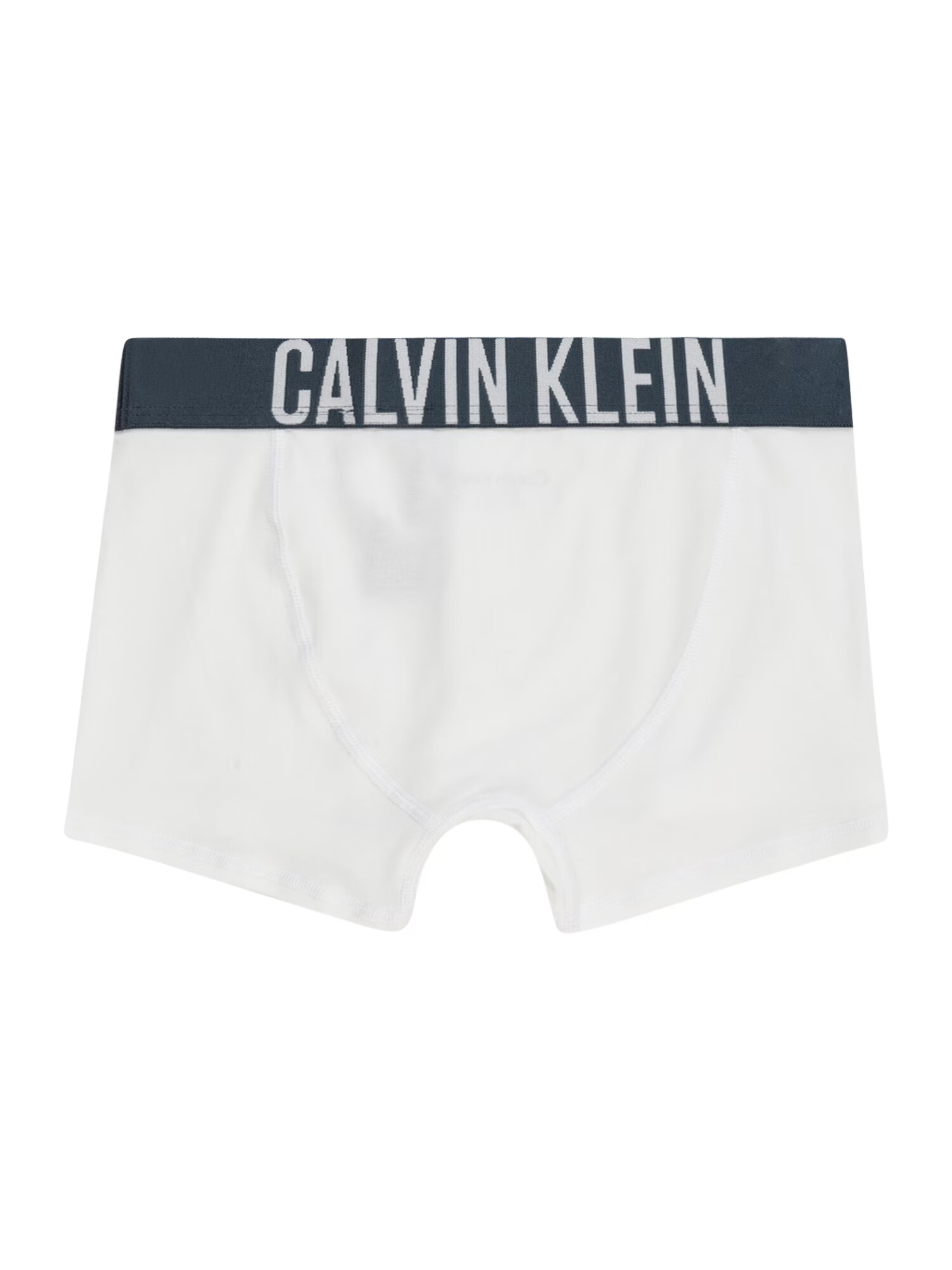 Calvin Klein Underwear Spodnjice mornarska / bela - Pepit.si