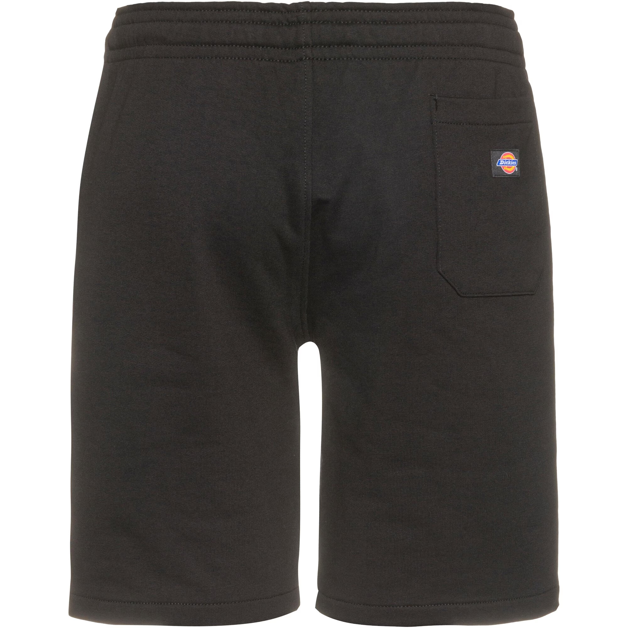 DICKIES Hlače 'Champlin' črna - Pepit.si