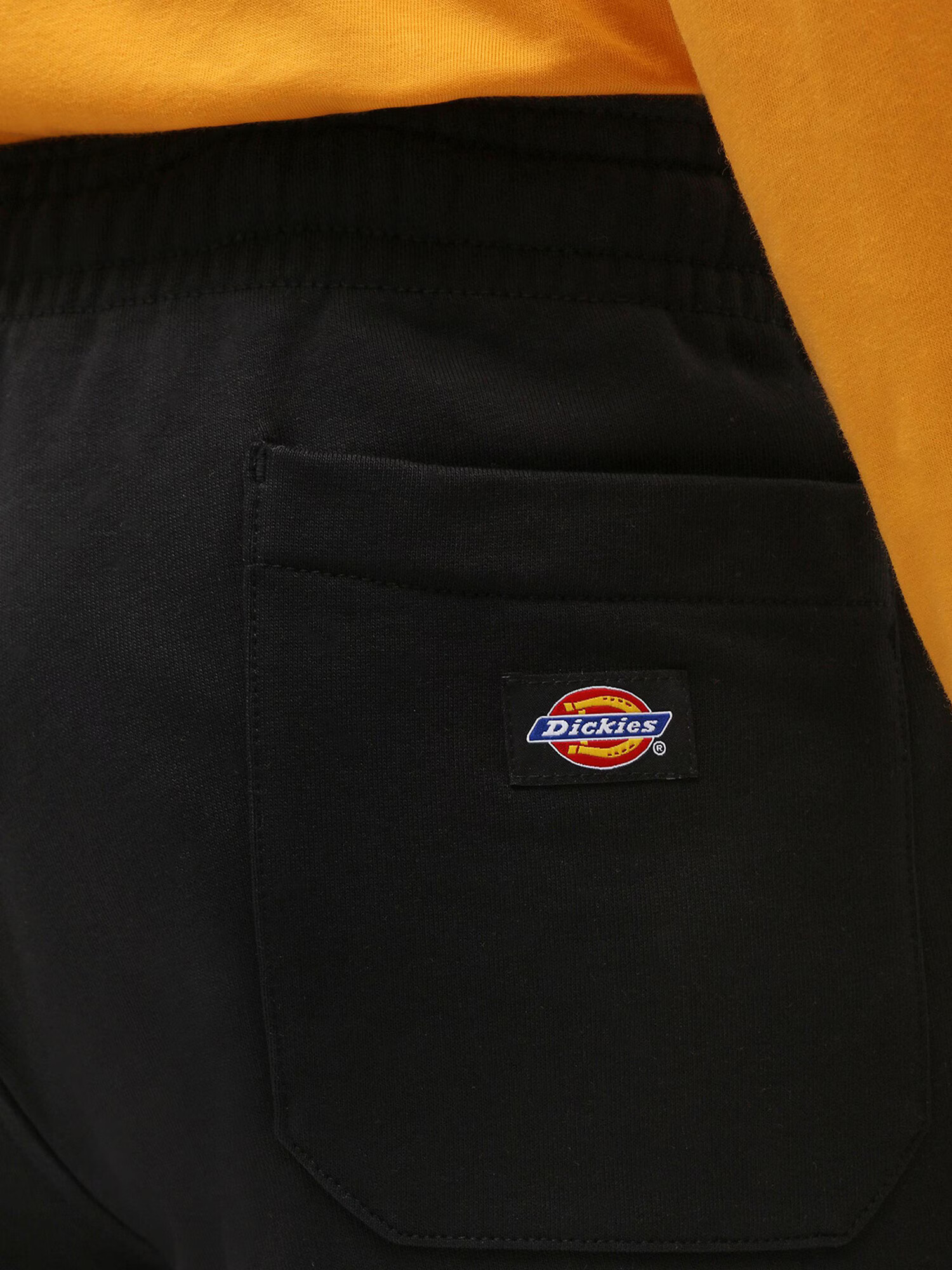 DICKIES Hlače 'Champlin' črna - Pepit.si