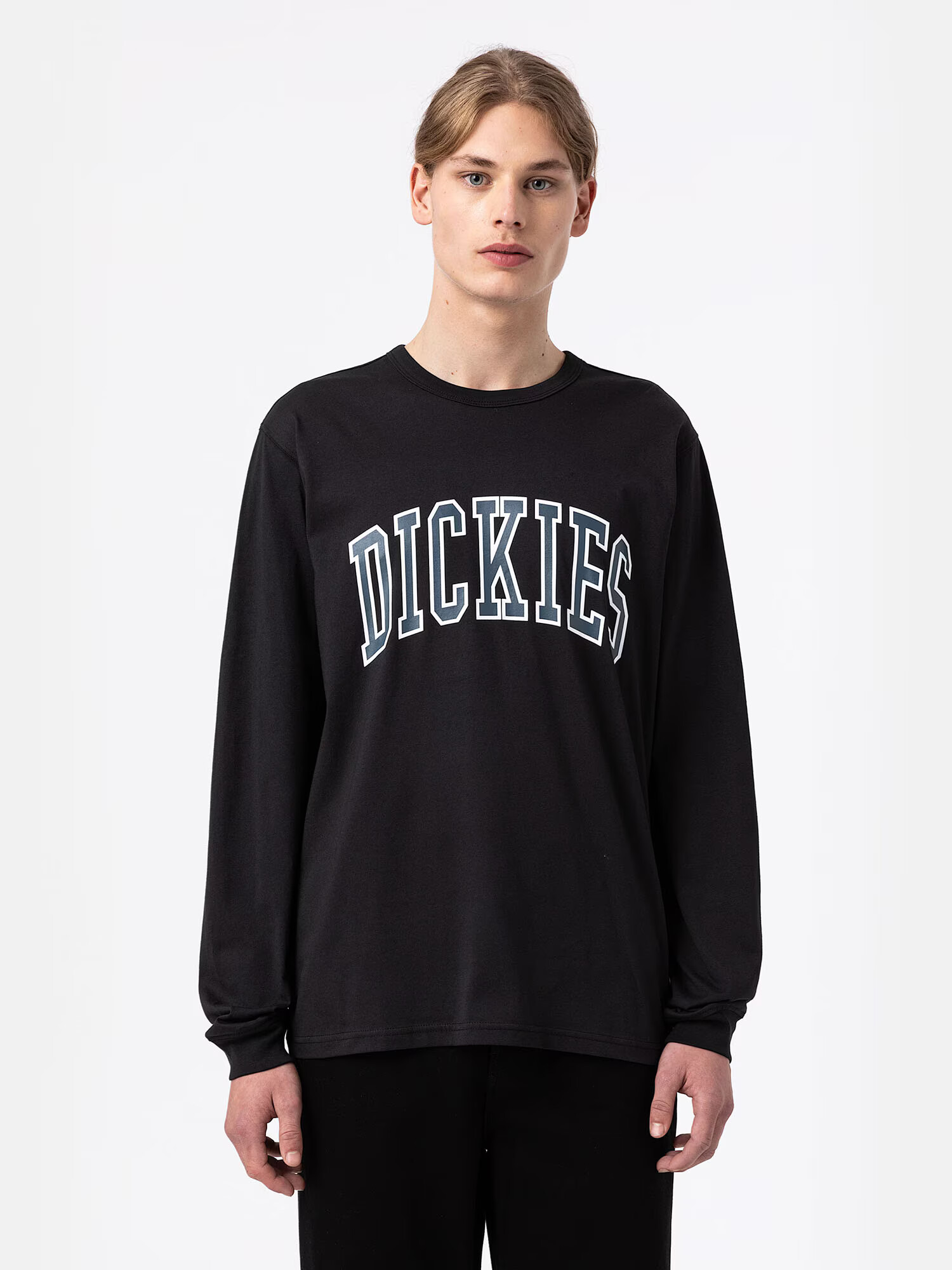 DICKIES Majica 'Aitkin' modra / črna / bela - Pepit.si