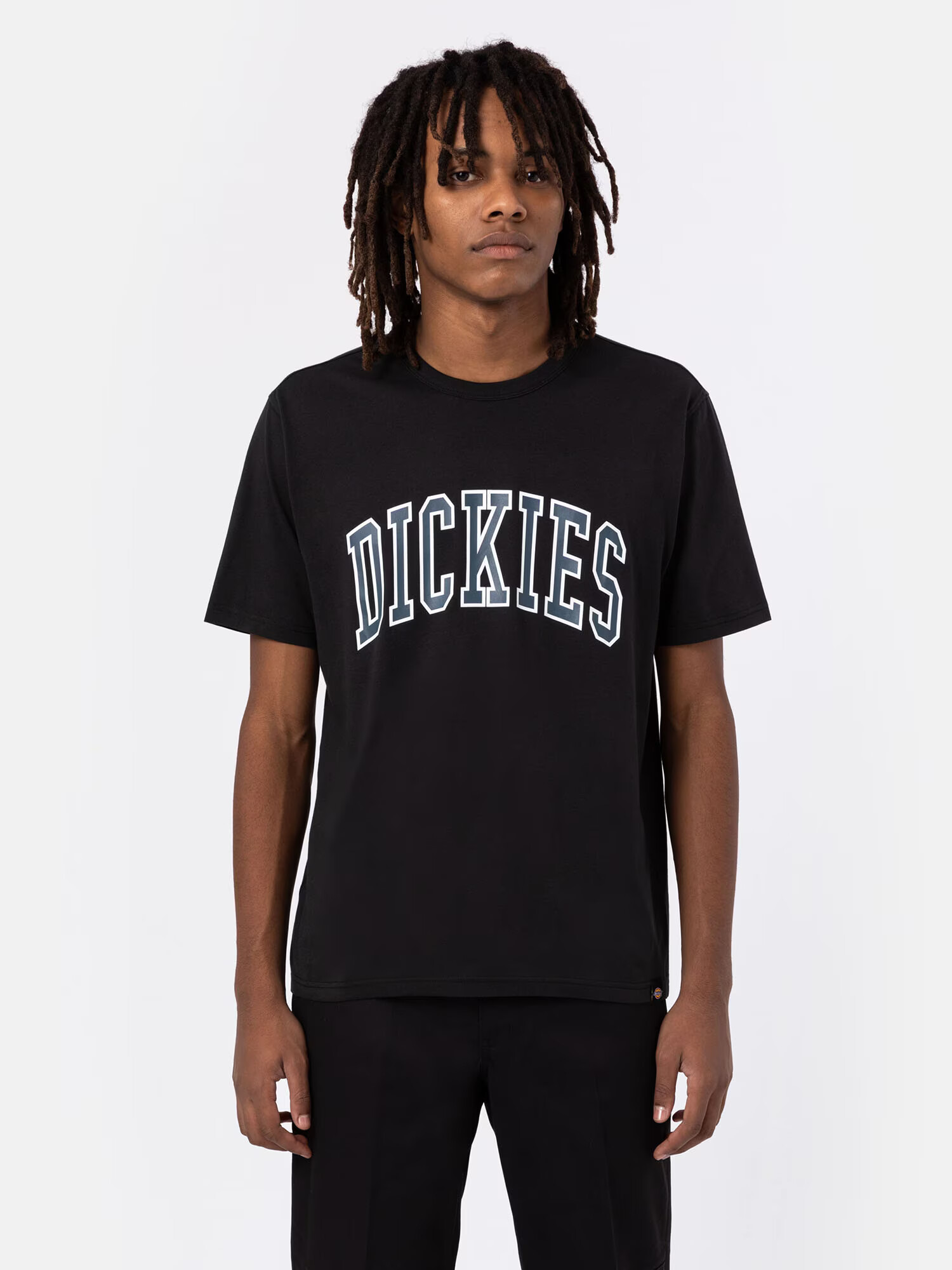 DICKIES Majica 'AITKIN' siva / črna / bela - Pepit.si