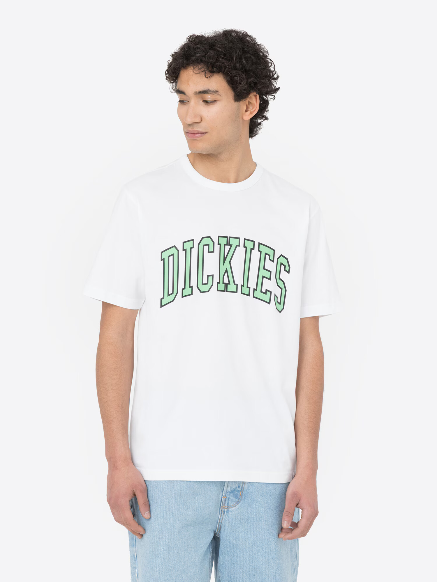 DICKIES Majica 'Aitkin' svetlo zelena / črna / bela - Pepit.si