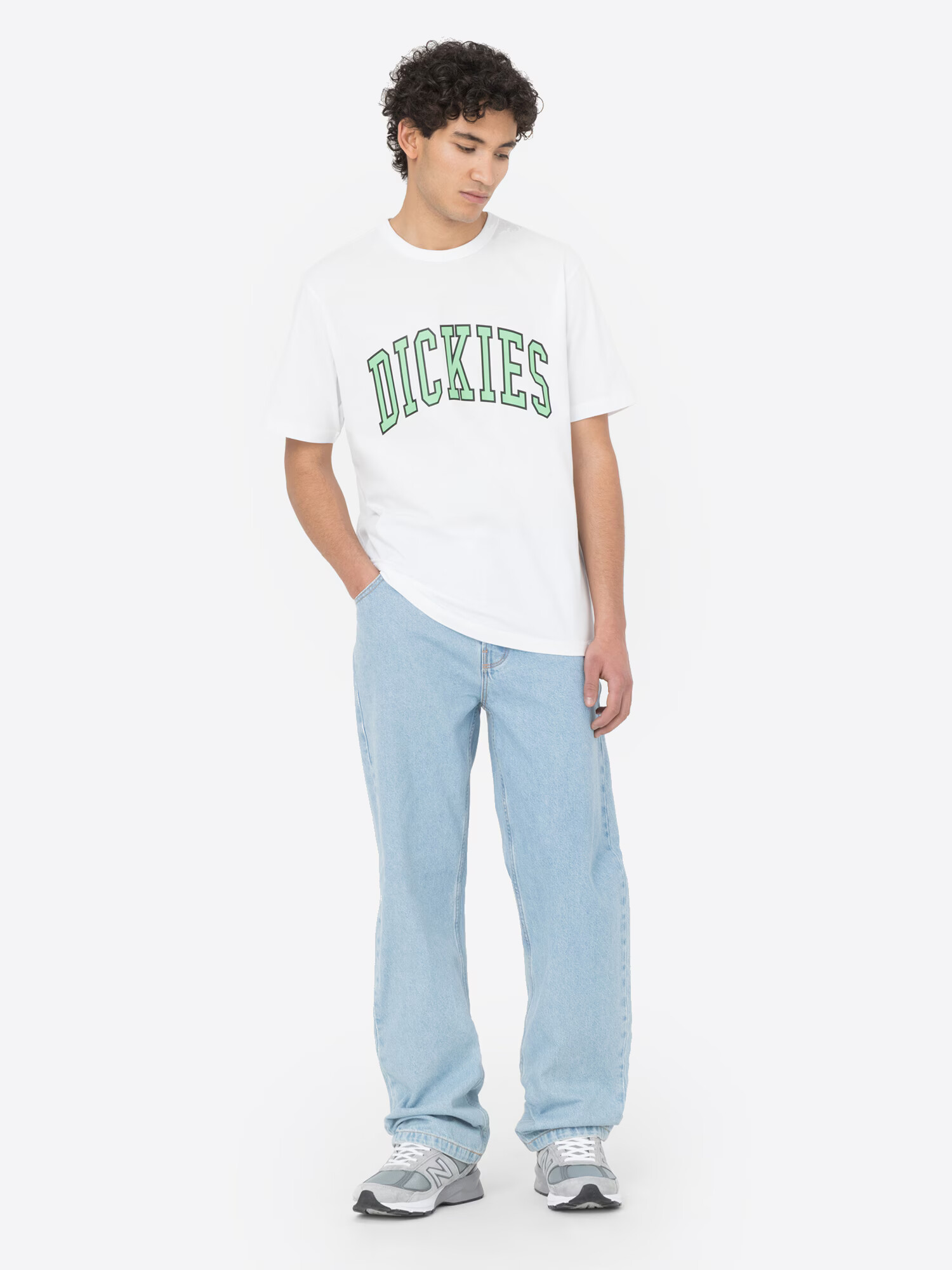 DICKIES Majica 'Aitkin' svetlo zelena / črna / bela - Pepit.si