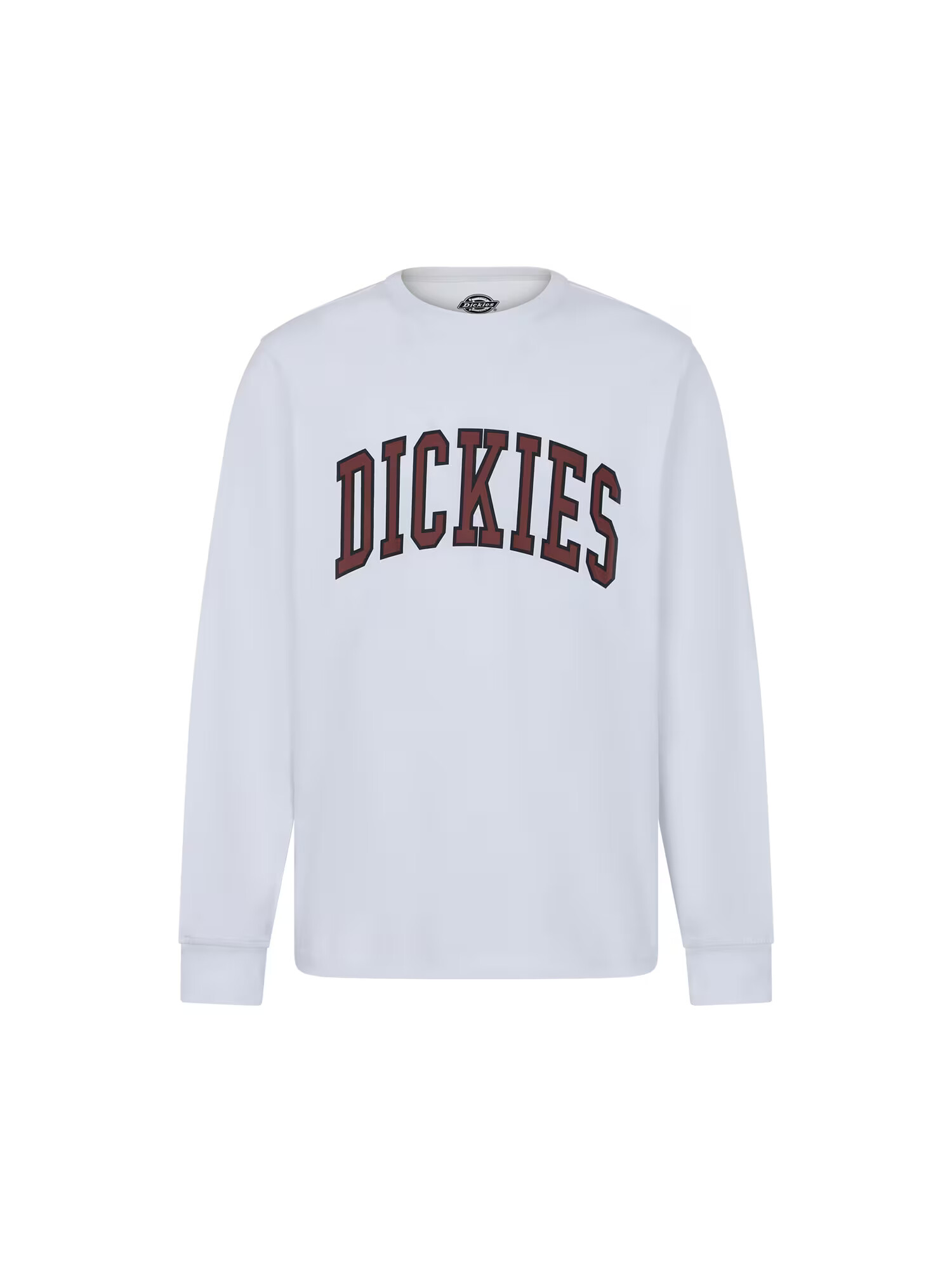 DICKIES Majica 'AITKIN TEE LS' rjava / bela - Pepit.si