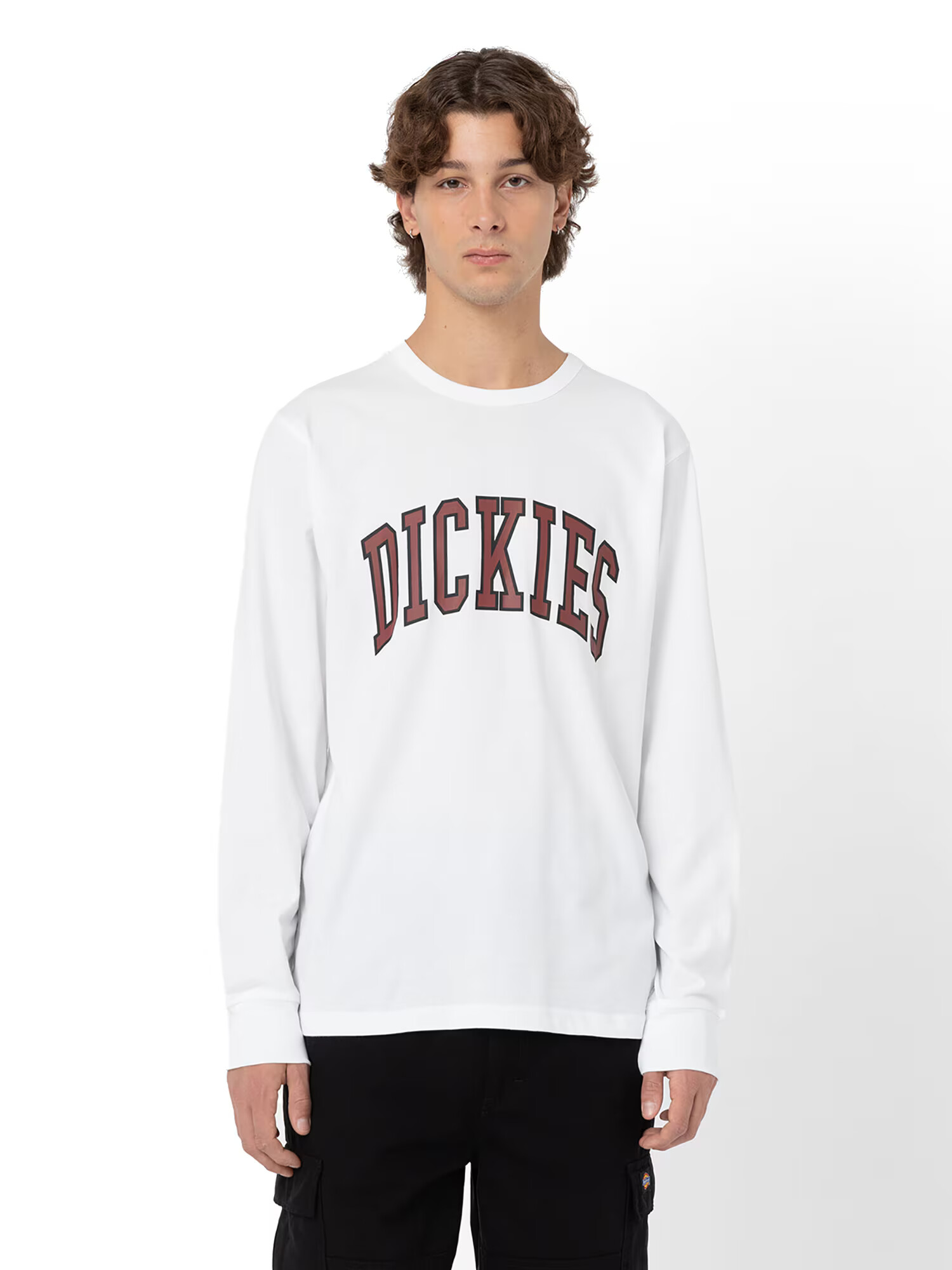 DICKIES Majica 'AITKIN TEE LS' rjava / bela - Pepit.si