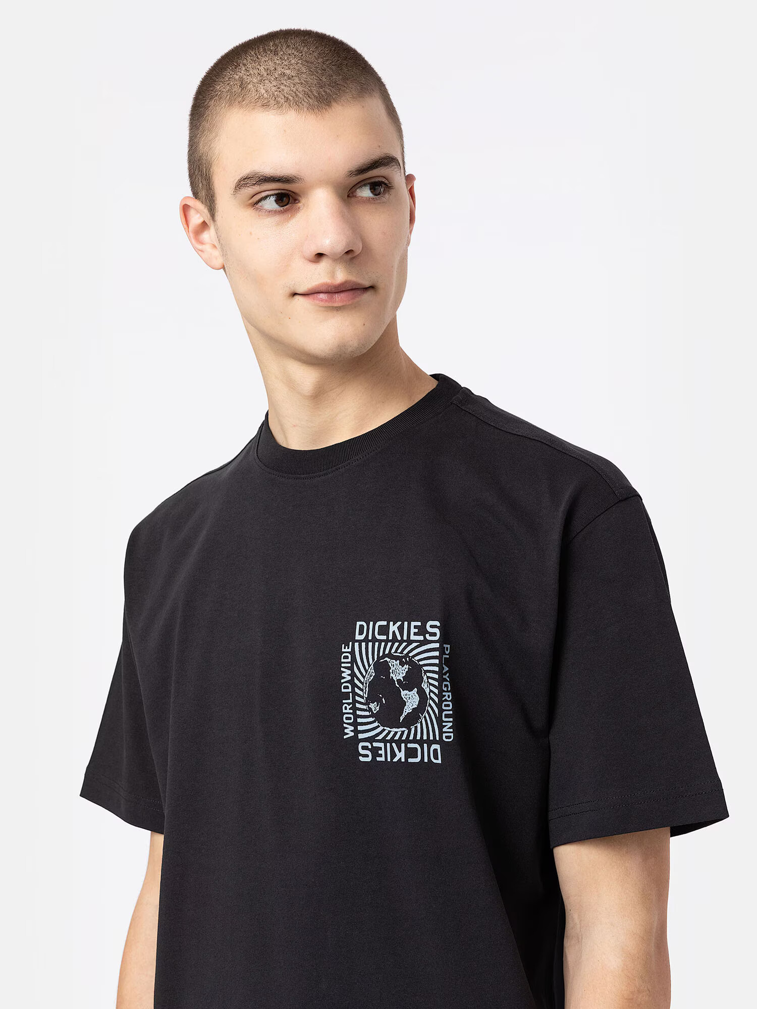 DICKIES Majica 'MARBURY' mešane barve / črna - Pepit.si