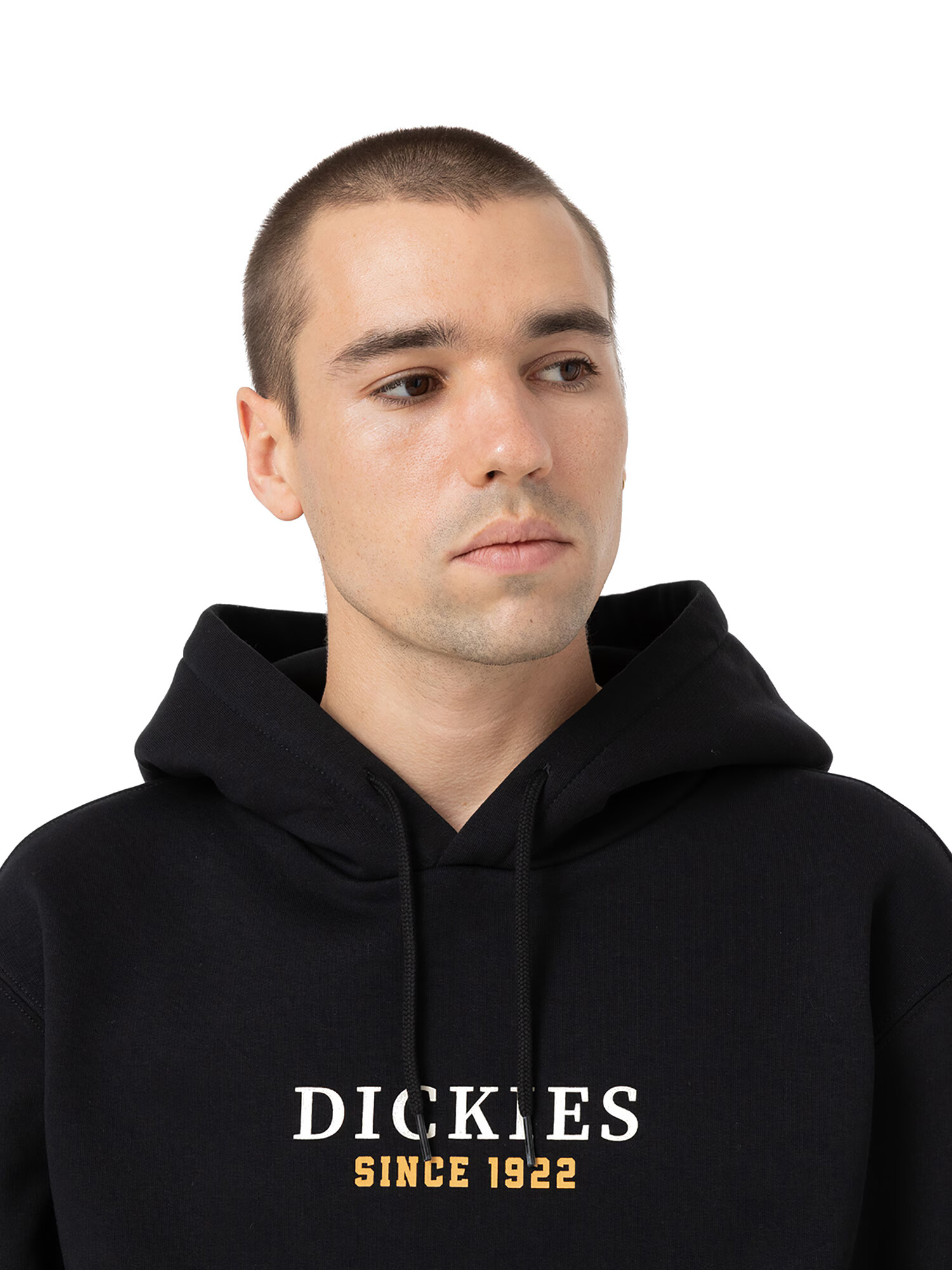 DICKIES Majica 'PARK' rumena / črna / bela - Pepit.si