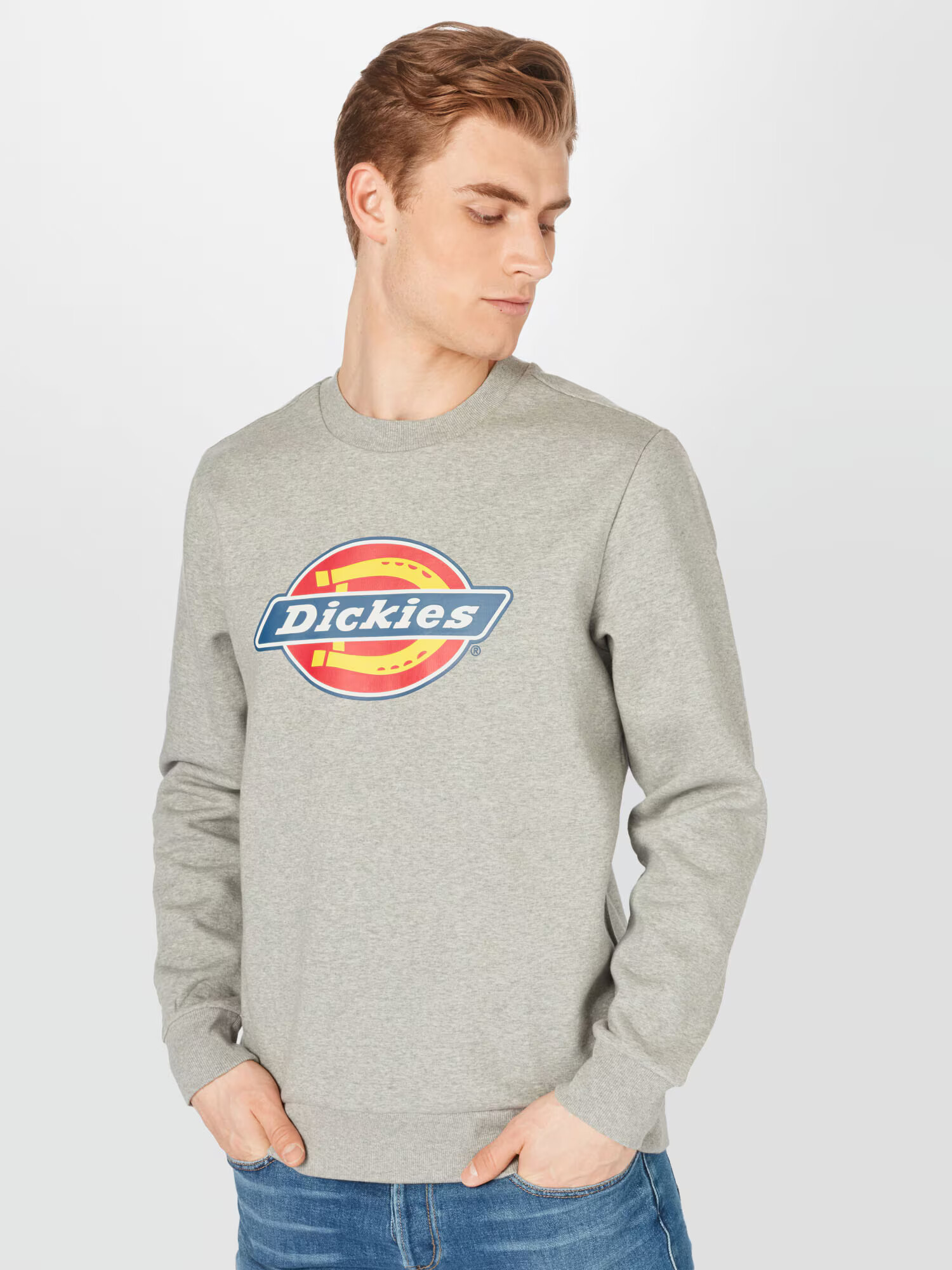 DICKIES Majica 'Icon Logo' modra / rumena / pegasto siva / rdeča / bela - Pepit.si