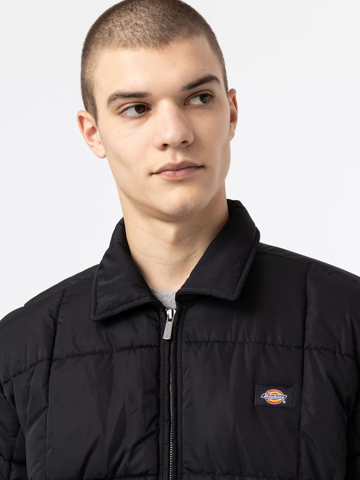 DICKIES Zimska jakna 'Eisenhower' modra / rumena / rdeča / črna / bela - Pepit.si