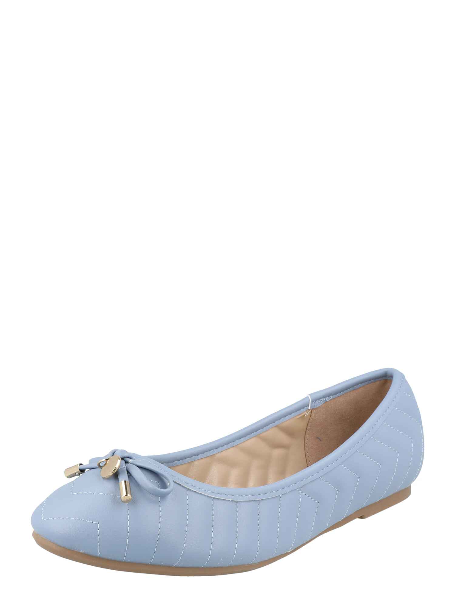 Dorothy Perkins Balerinke 'Paynton' svetlo modra - Pepit.si