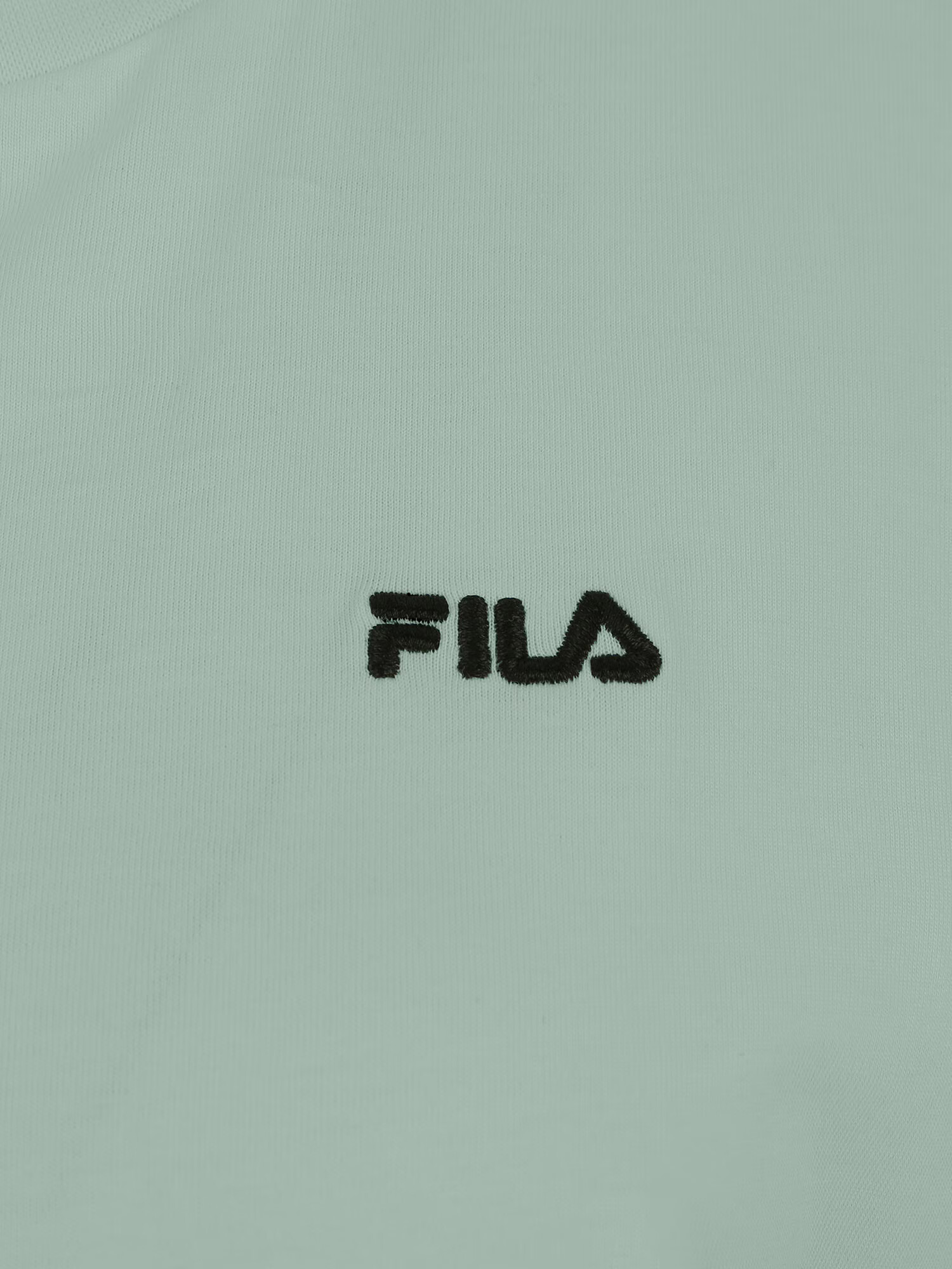 FILA Majica 'BIENDORF' pastelno zelena / črna - Pepit.si