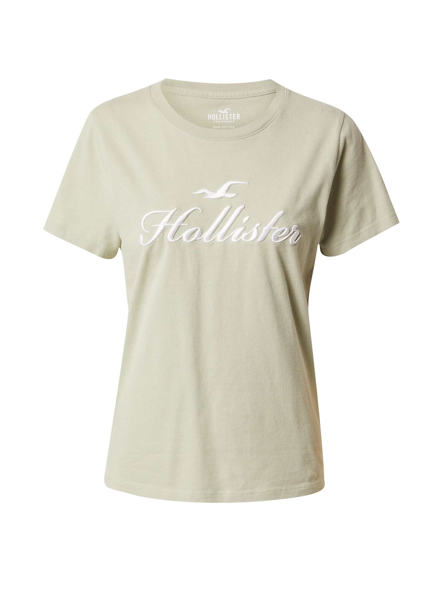 HOLLISTER Majica 'DESERT SAGE' pastelno zelena / bela - Pepit.si