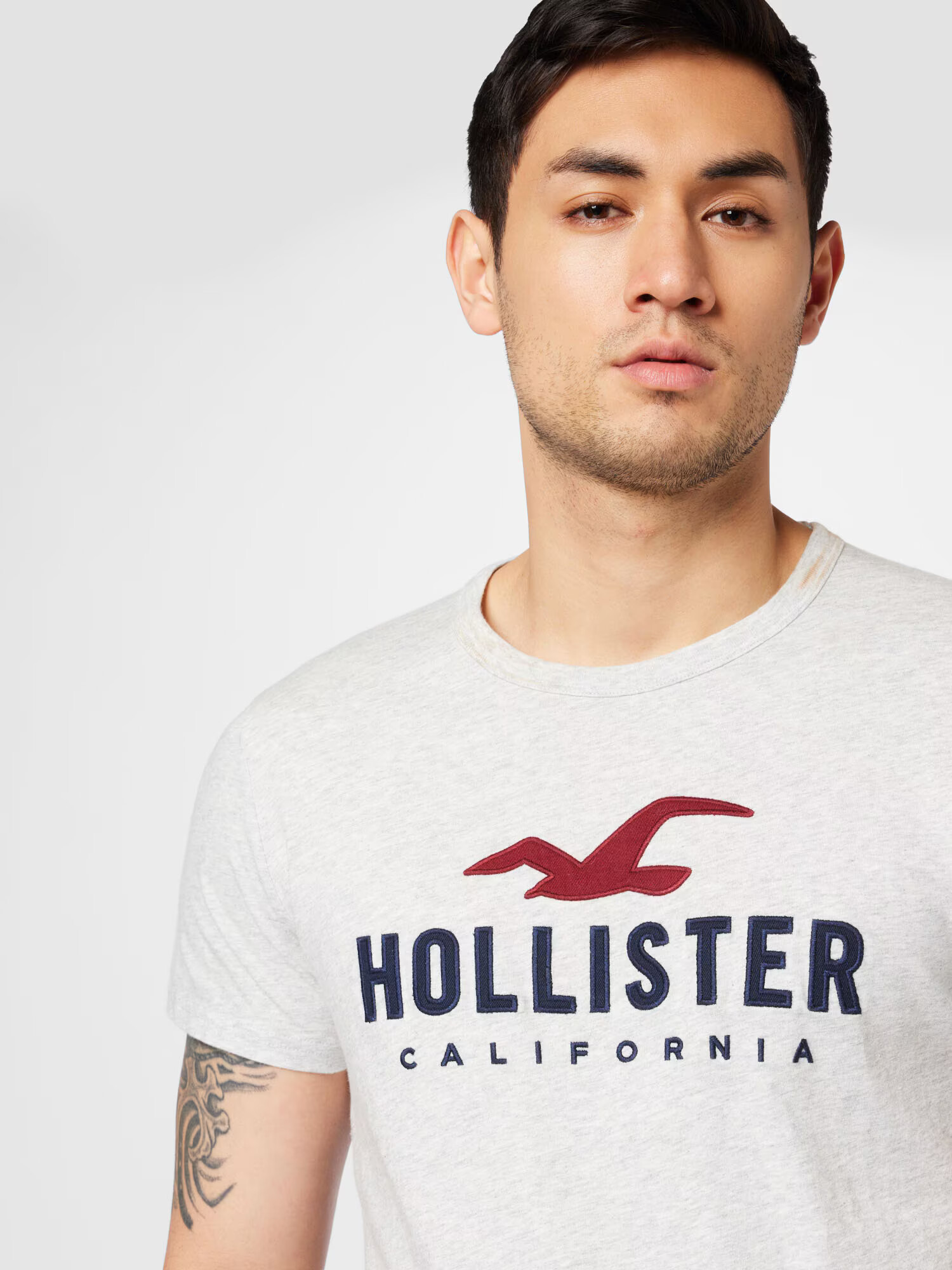 HOLLISTER Majica marine / pegasto siva / burgund - Pepit.si