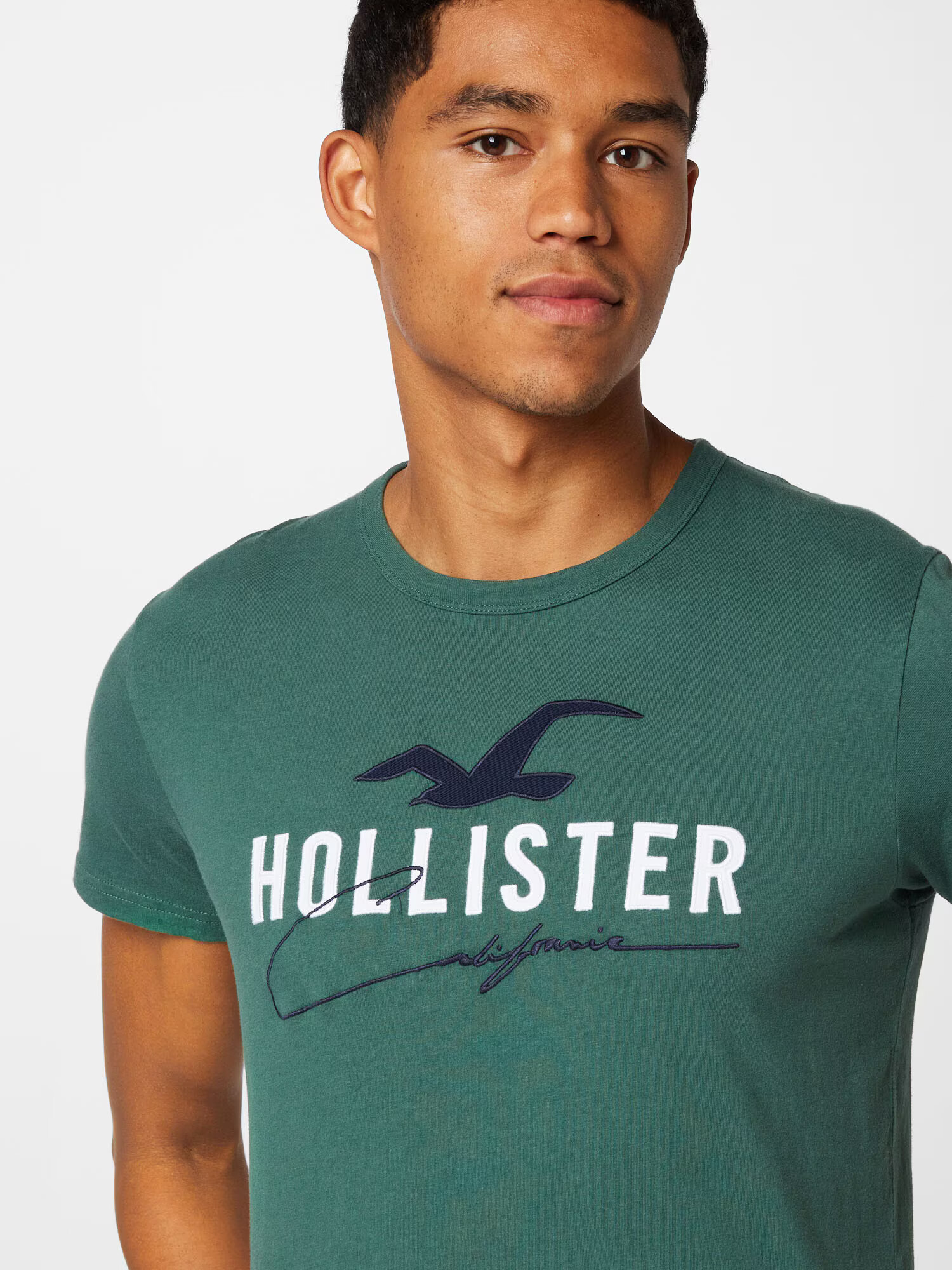 HOLLISTER Majica mornarska / zelena / bela - Pepit.si