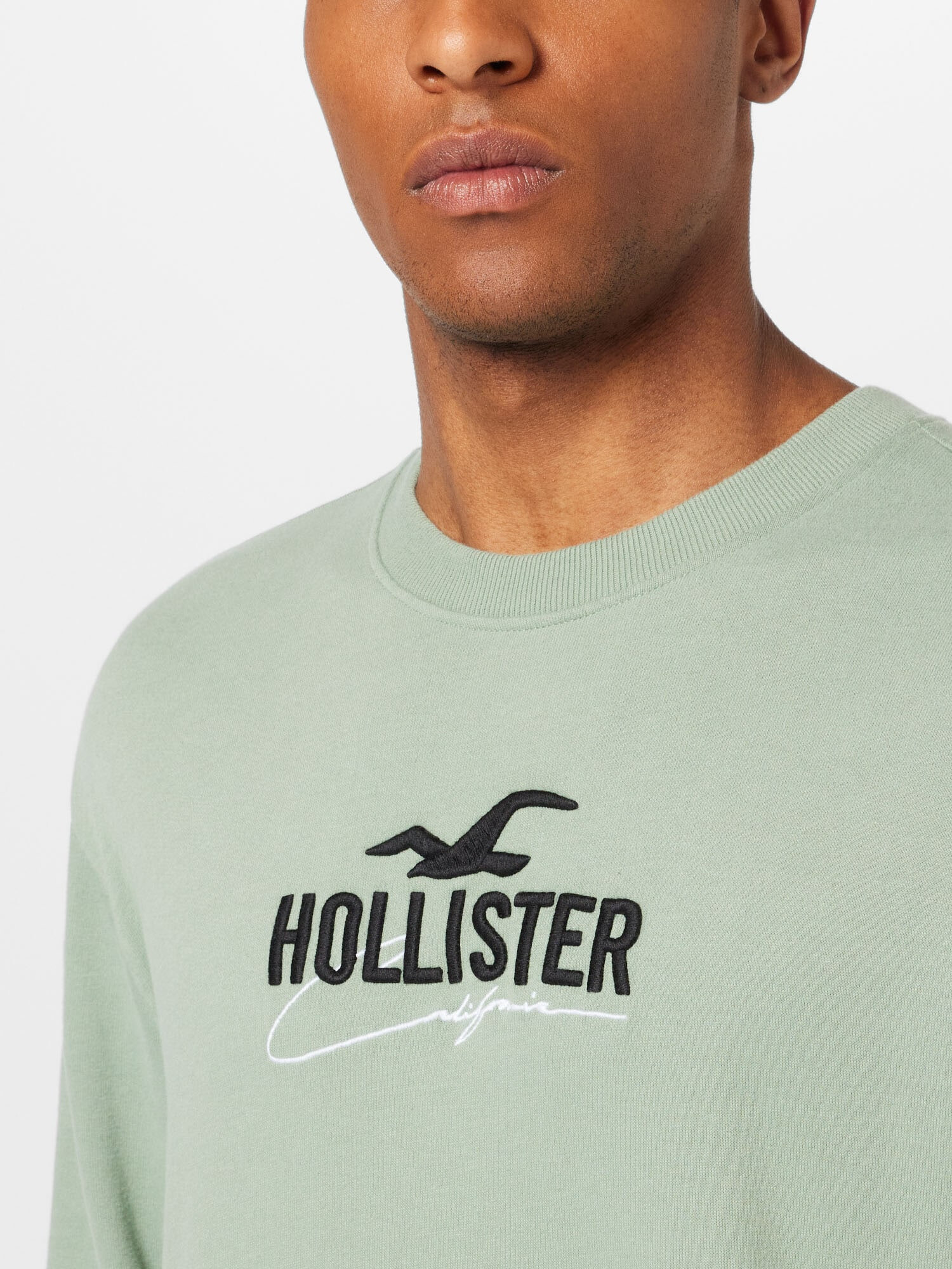 HOLLISTER Majica pastelno zelena / črna / bela - Pepit.si