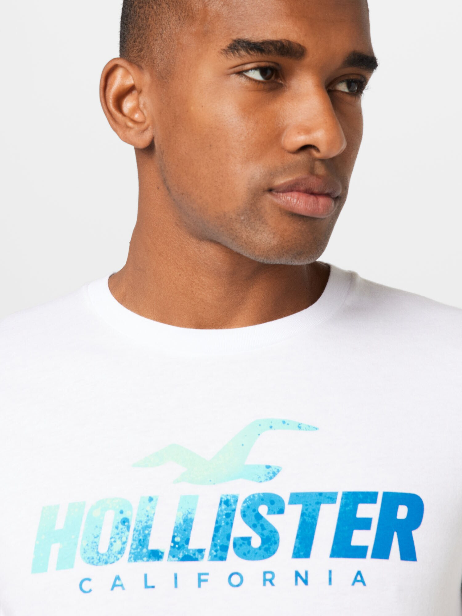 HOLLISTER Majica temno siva / temno zelena / črna / bela - Pepit.si