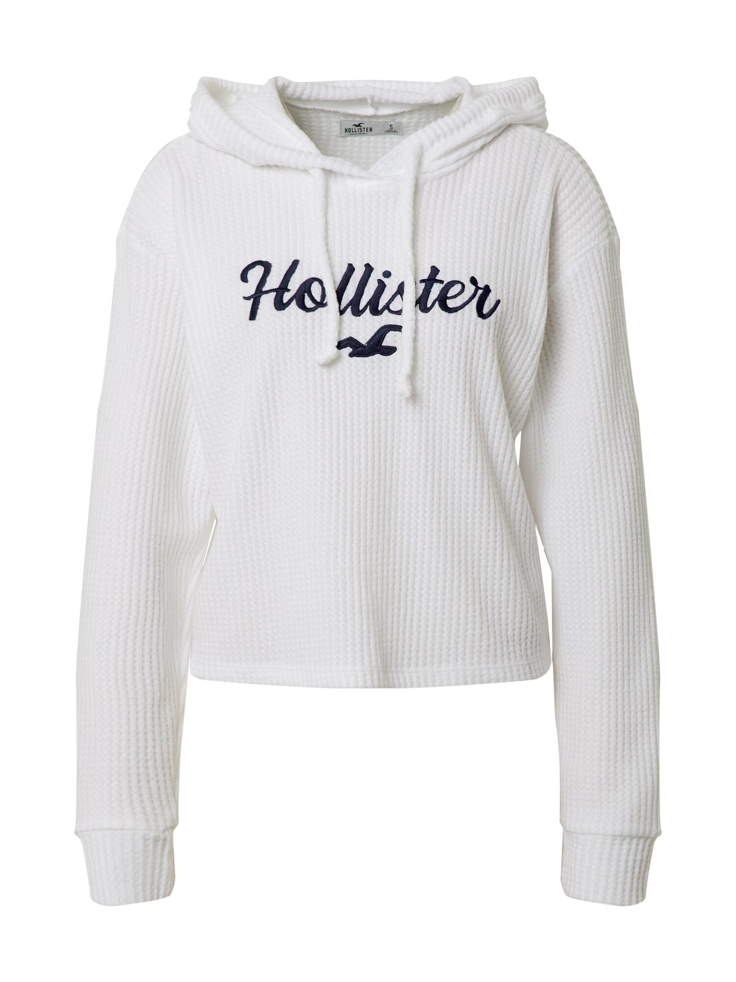 HOLLISTER Pulover bela / nočno modra - Pepit.si