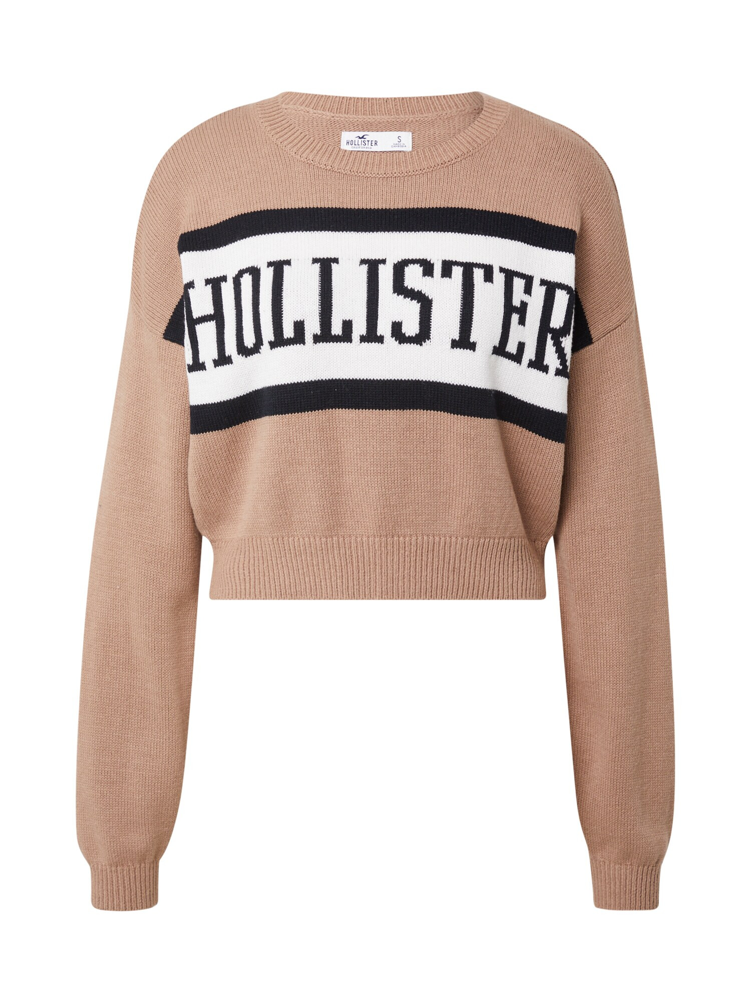 HOLLISTER Pulover 'BTS ASIA' svetlo rjava / črna / bela - Pepit.si