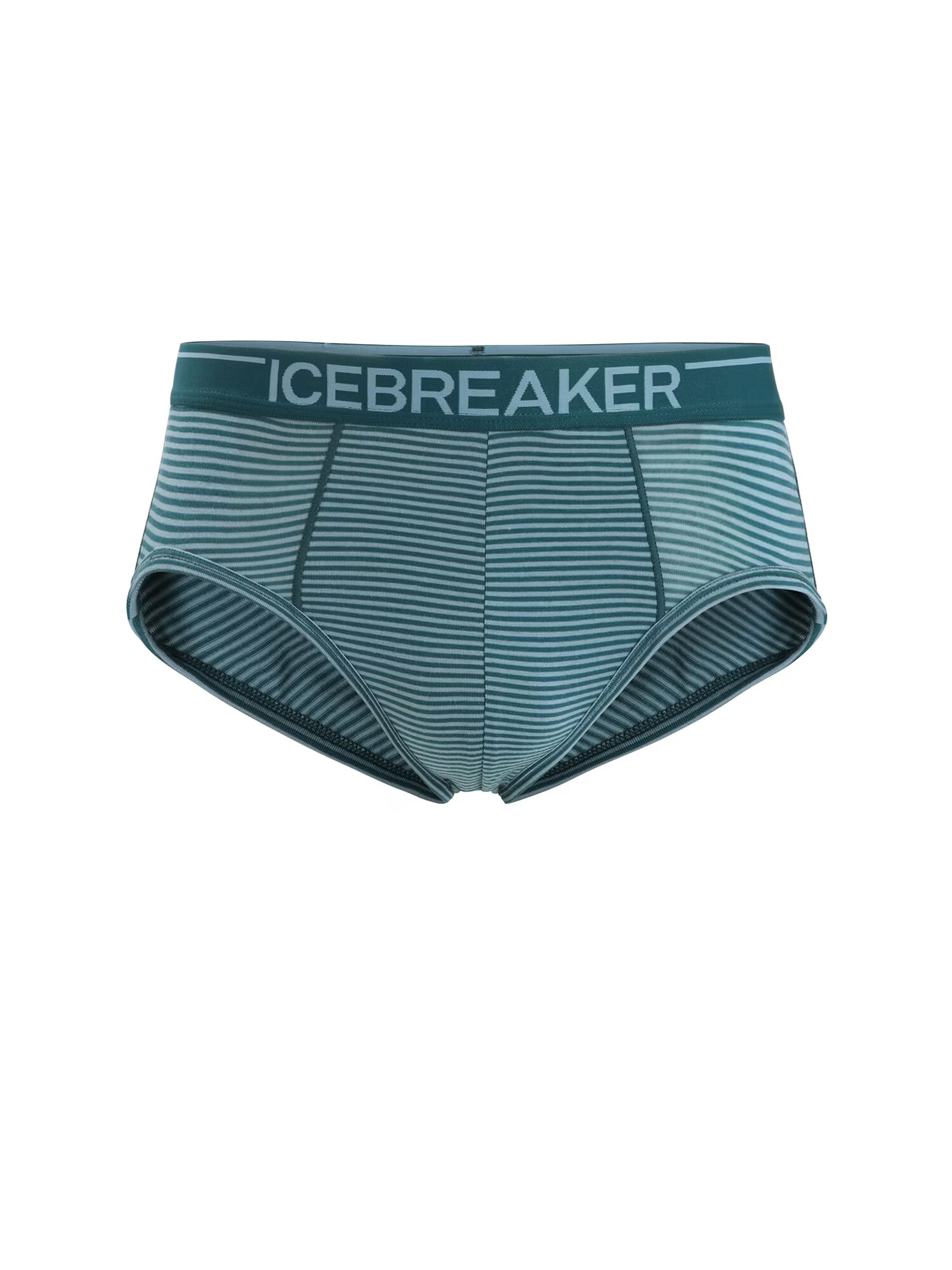 ICEBREAKER Športne spodnjice 'Anatomica' pastelno zelena / temno zelena - Pepit.si