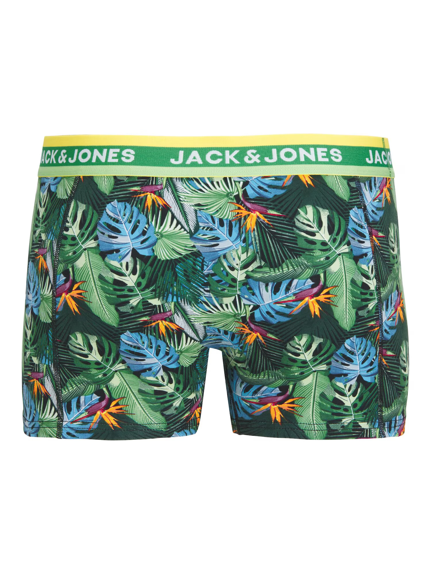 JACK & JONES Boksarice 'Miami' svetlo modra / travnato zelena / temno zelena / črna - Pepit.si